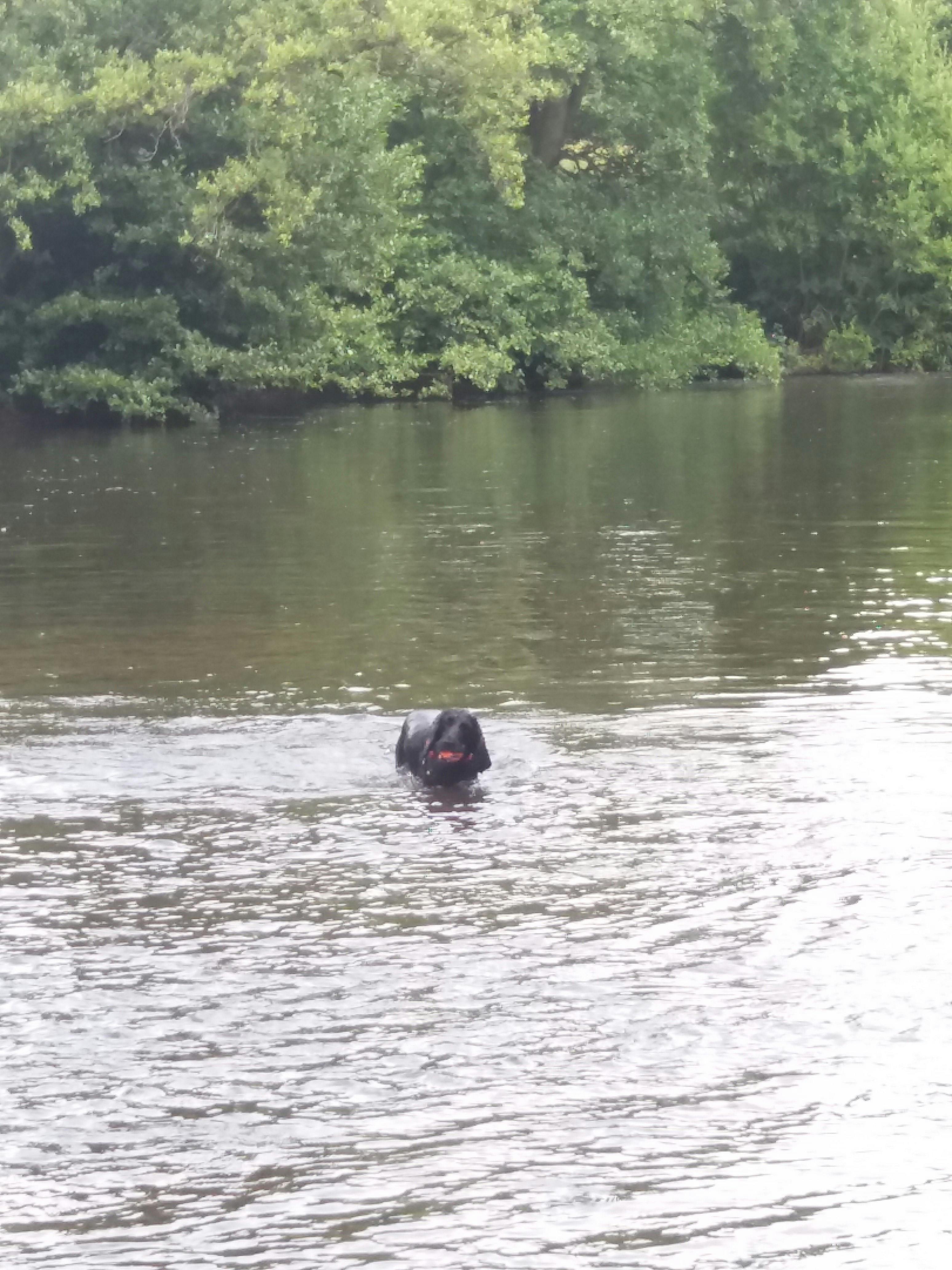 user avatar image for Cadfael P