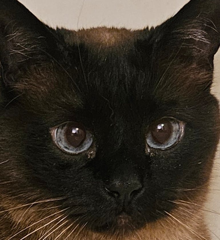 user avatar image for Victoria Griffen