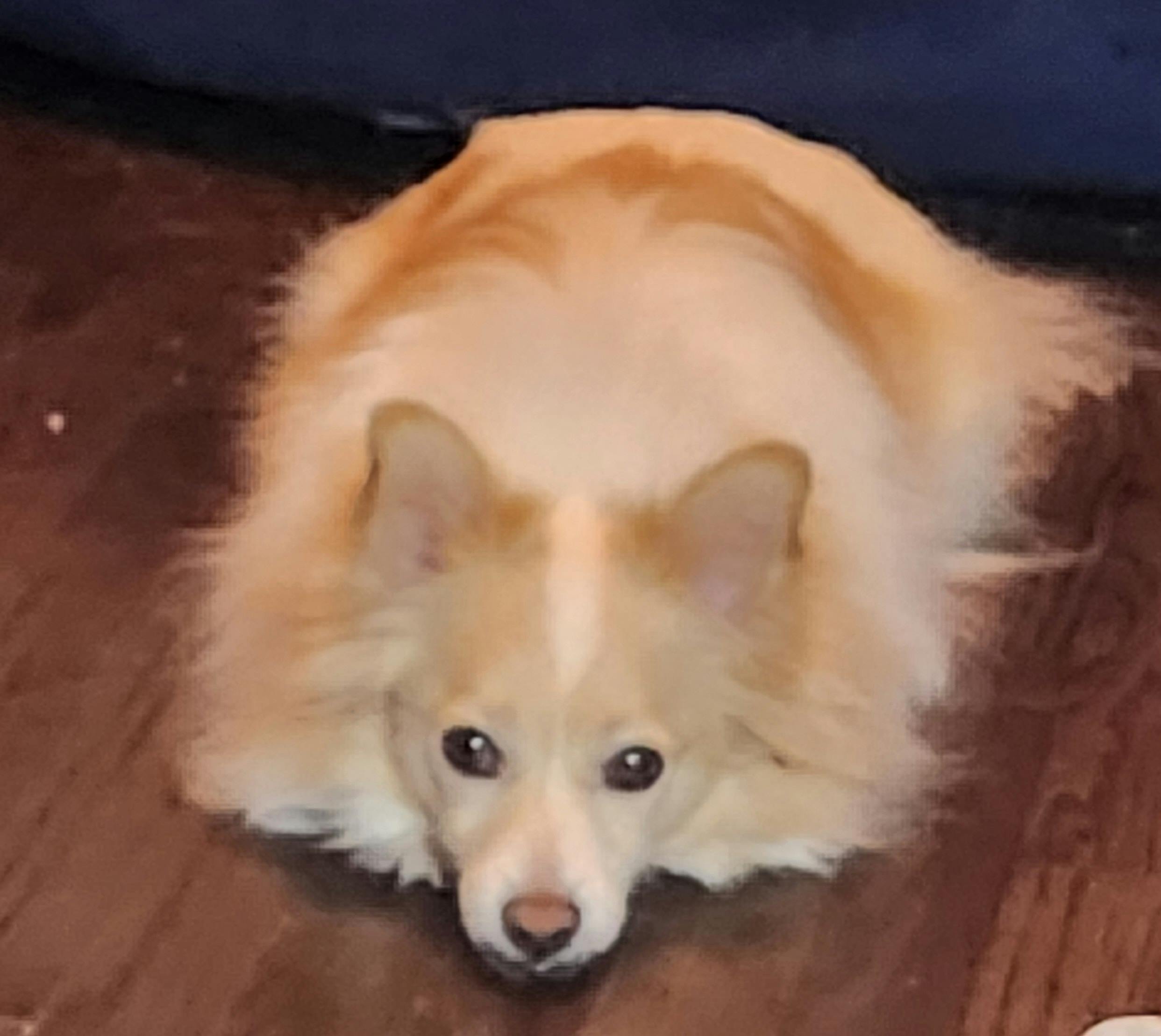 user avatar image for Crystal Bearden