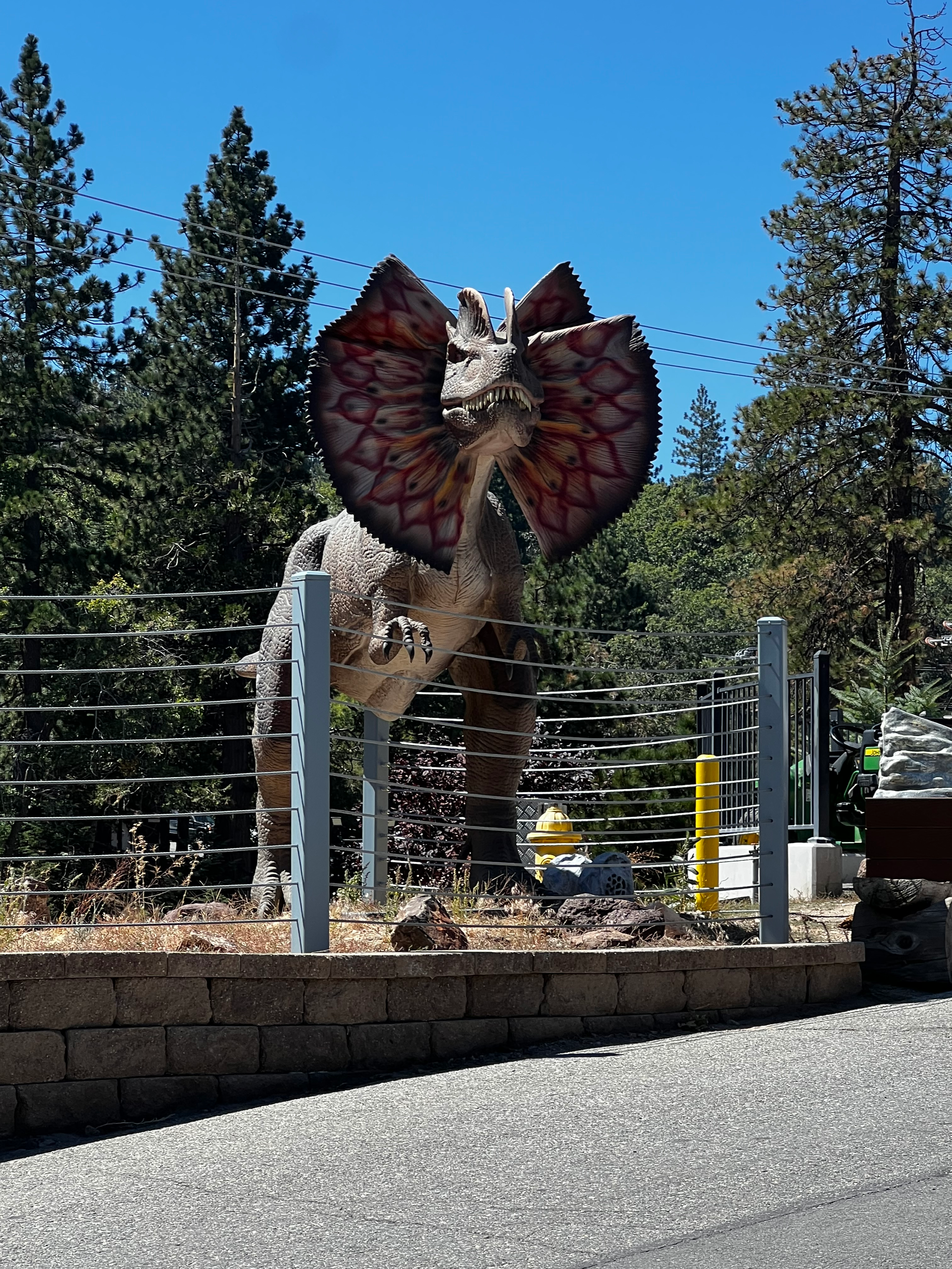 user avatar image for TommyG