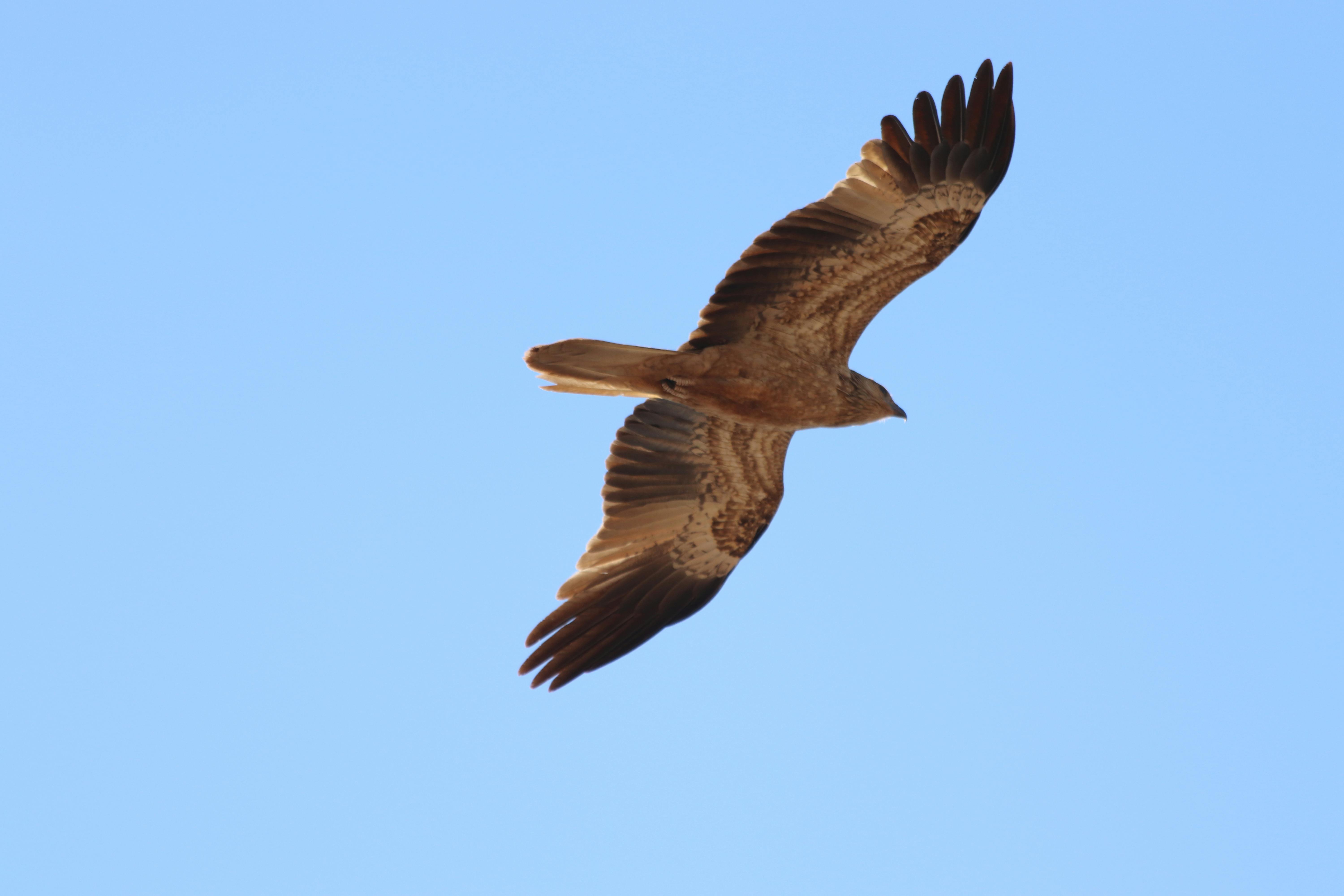 user avatar image for Mistique