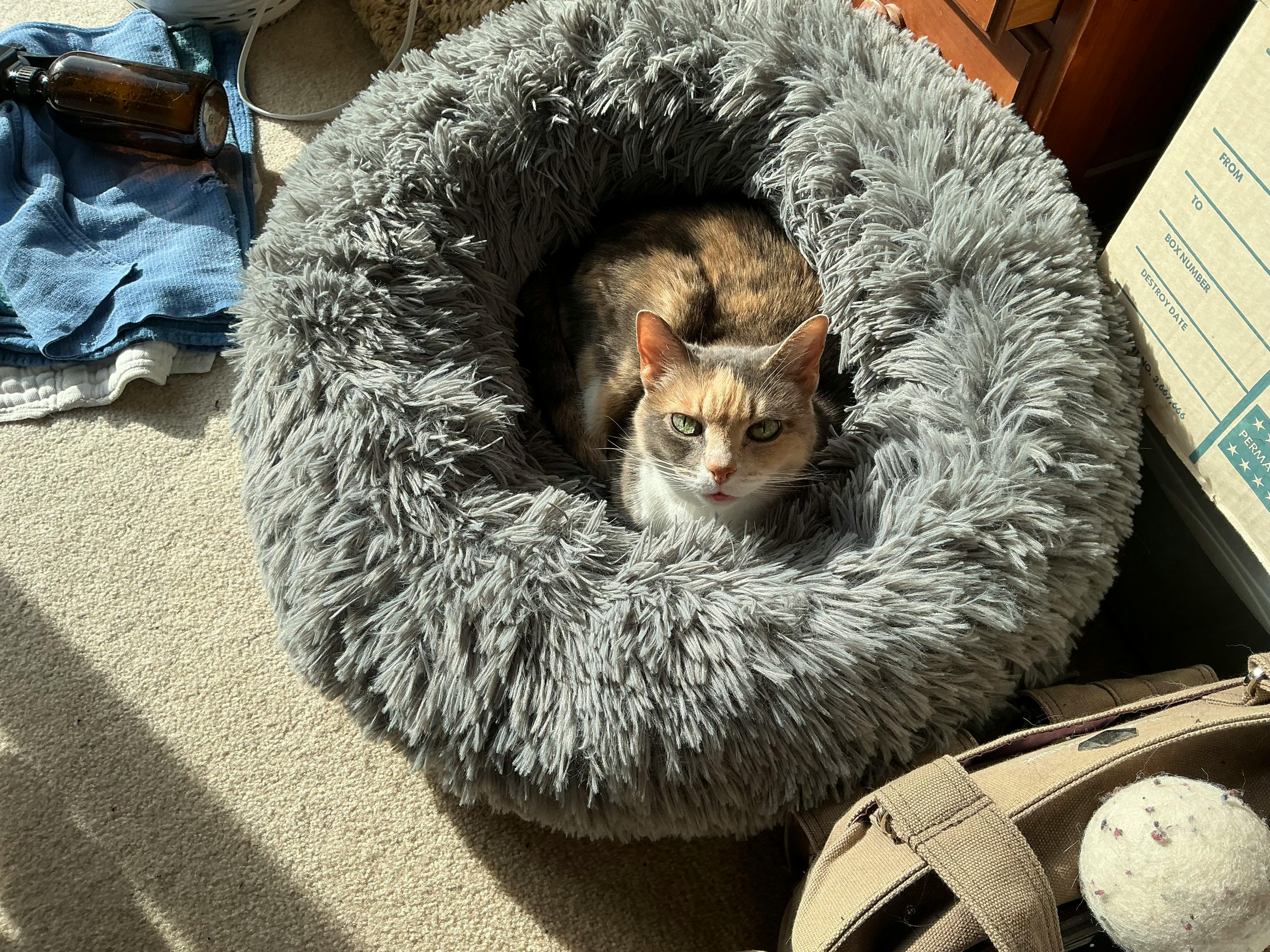 user avatar image for Marcie Dobyns