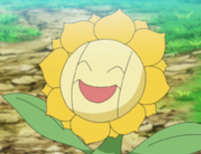 user avatar image for tidal sunflora