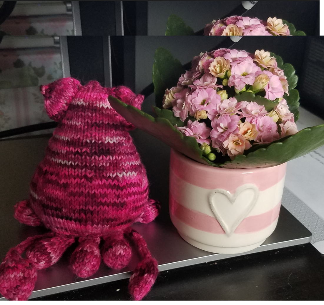 user avatar image for RunSquidling