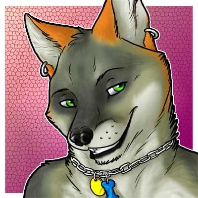 user avatar image for Xoa Gray