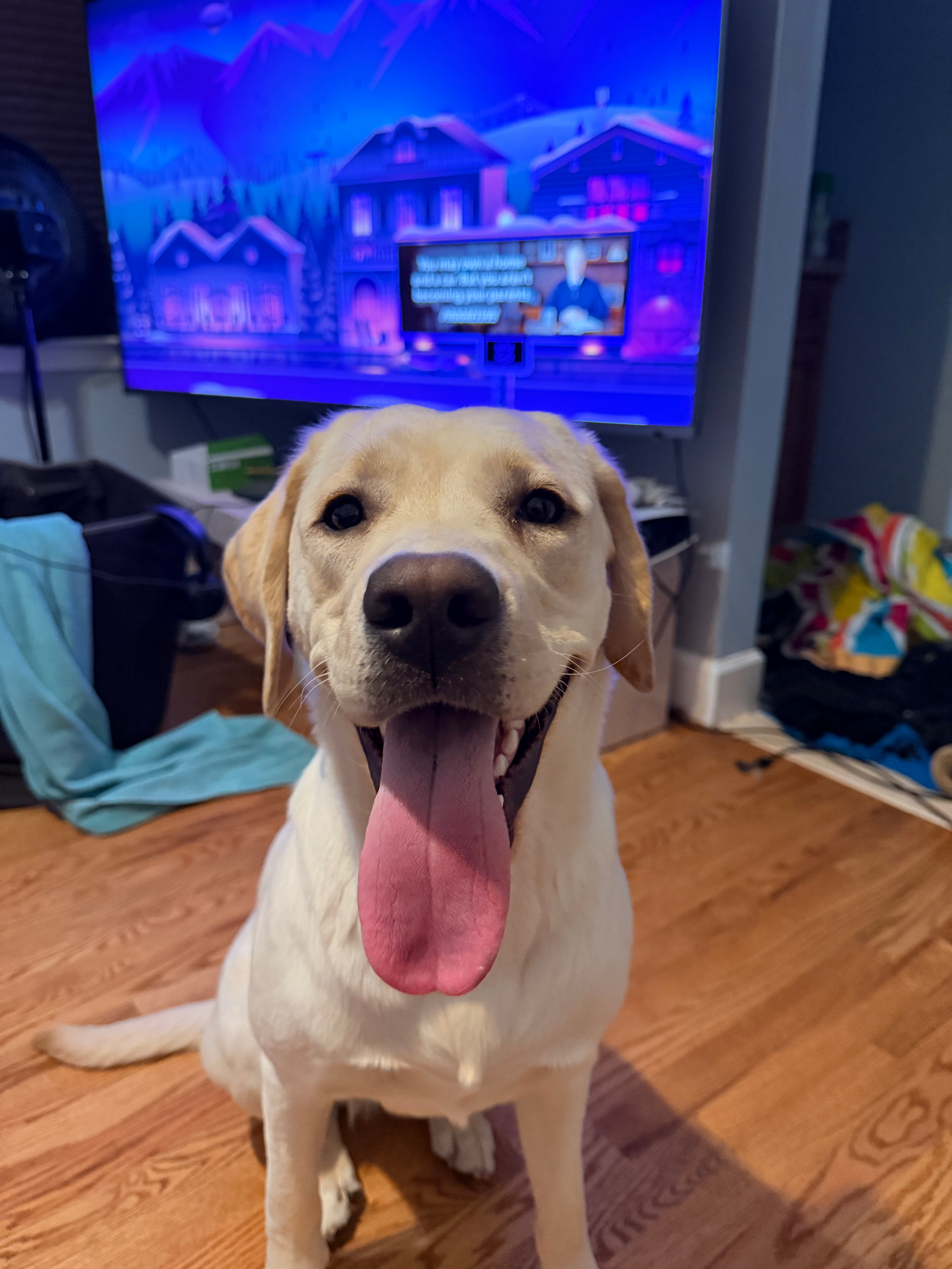 user avatar image for FBackle77