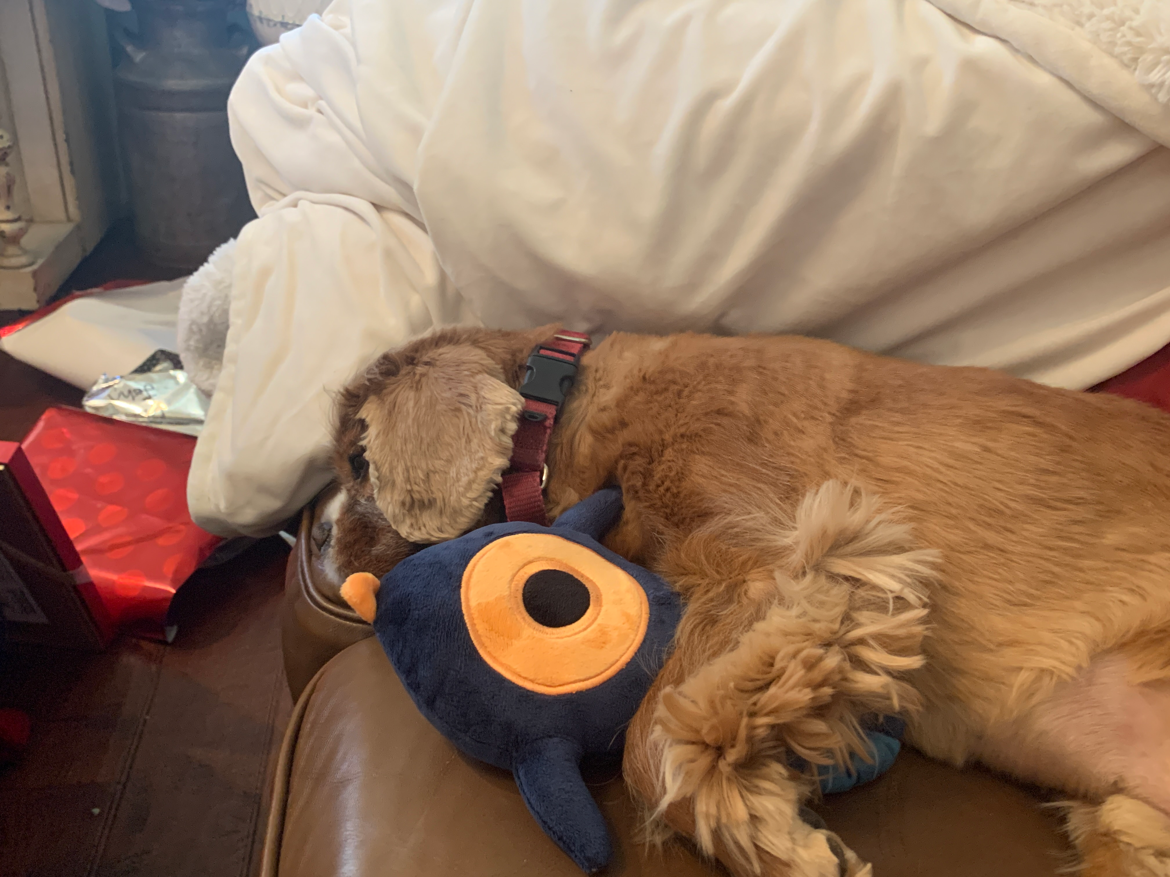 user avatar image for HumanNamedDylan