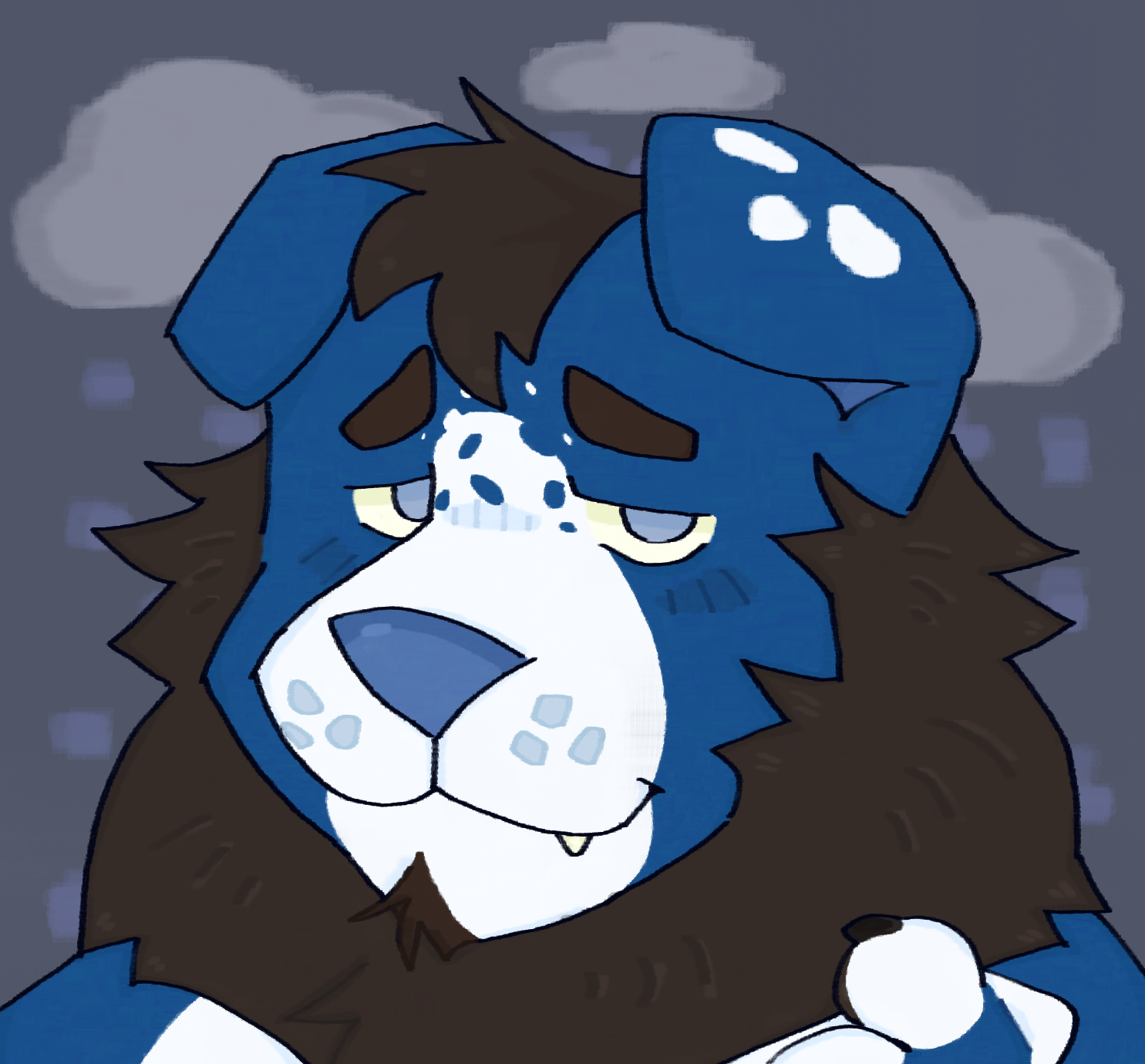 user avatar image for finncacao