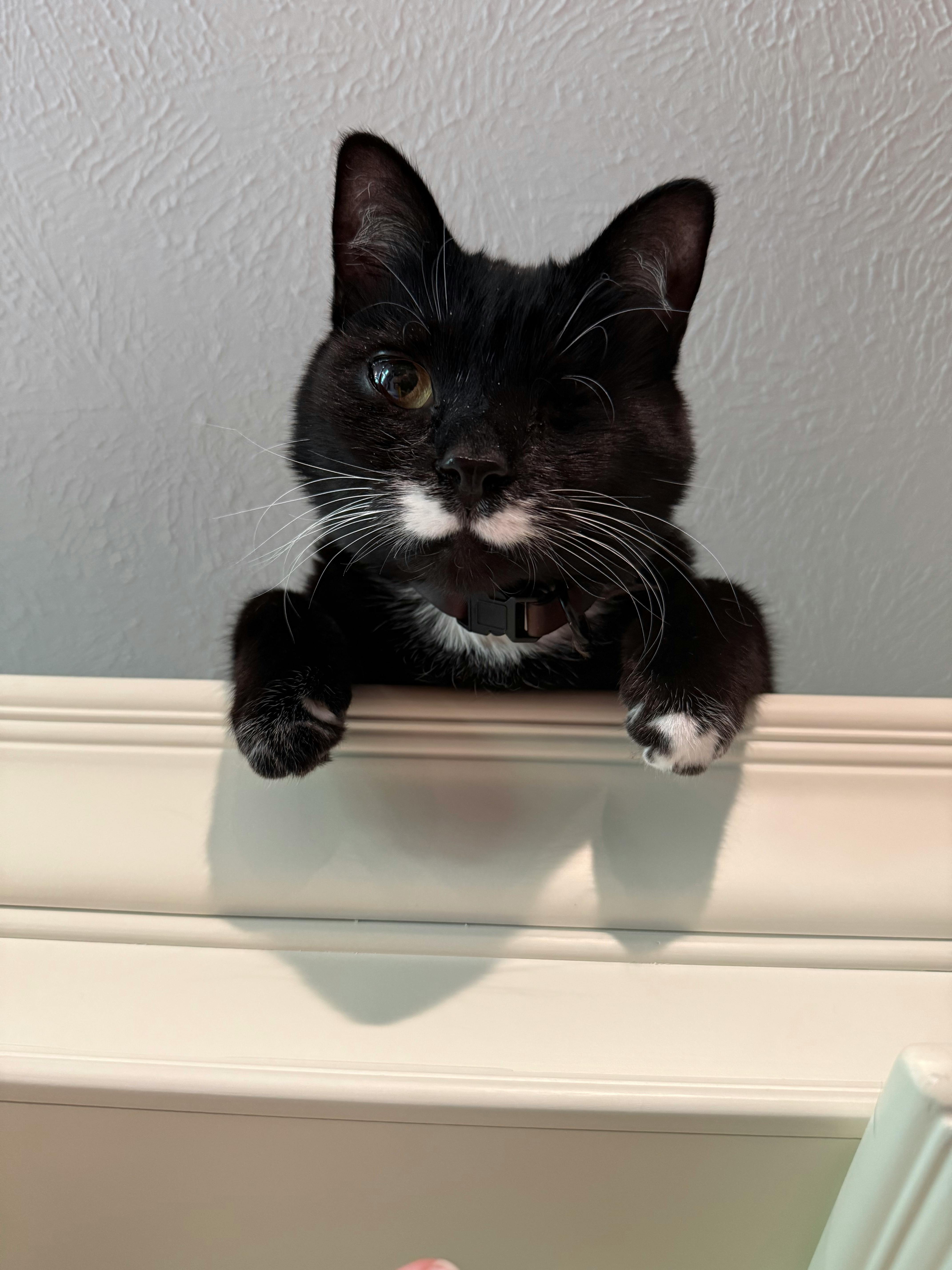 user avatar image for Jesse Christensen