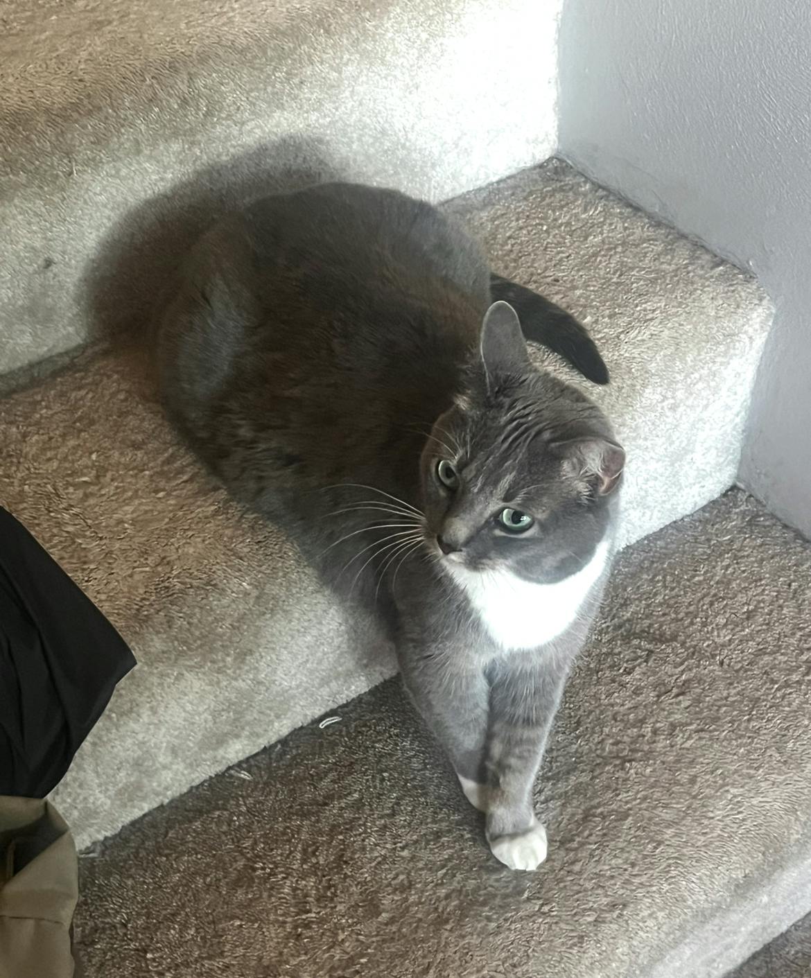 user avatar image for Kernel92