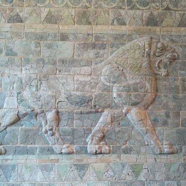 user avatar image for Szledje