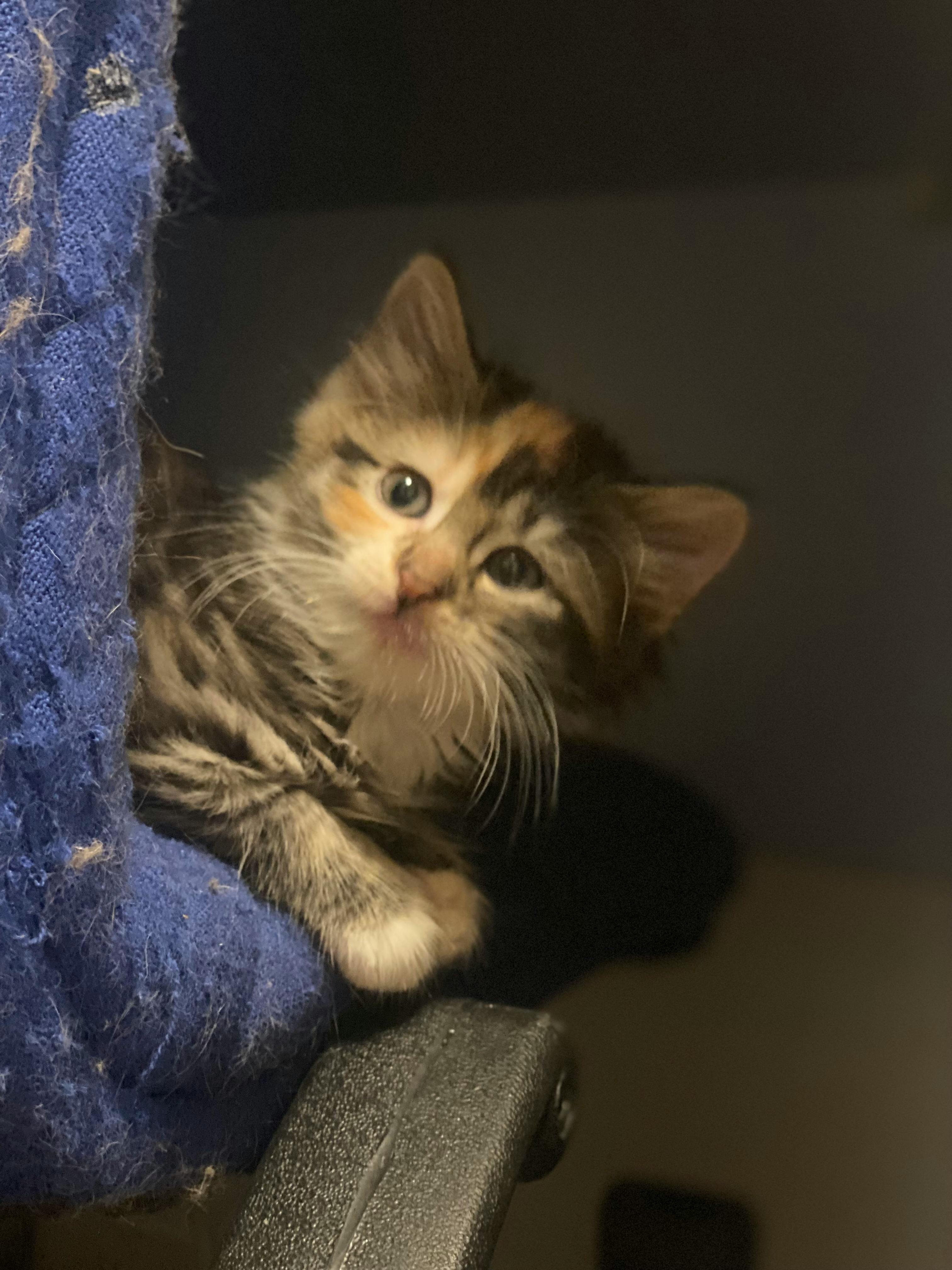 user avatar image for Kris