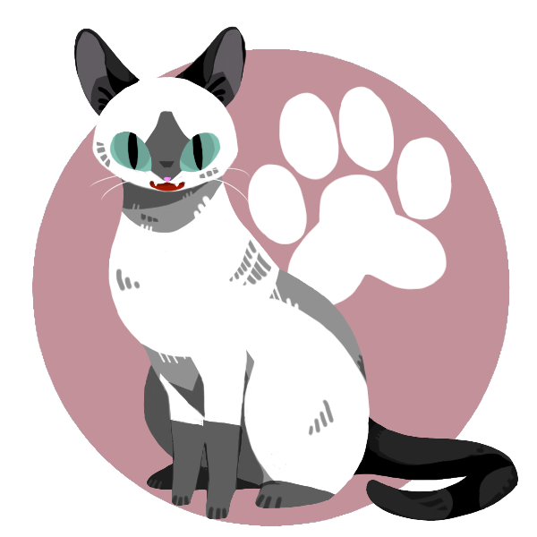user avatar image for Bunny Hopkinton