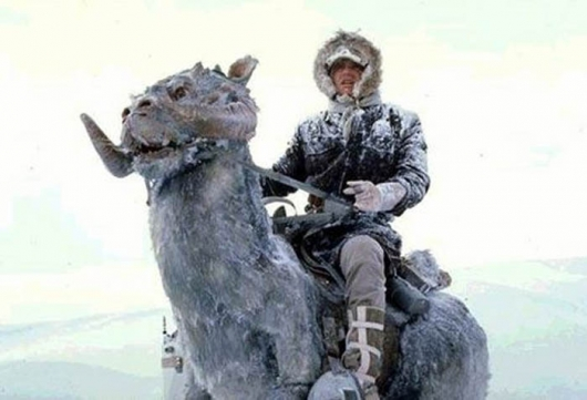 user avatar image for Aeodan