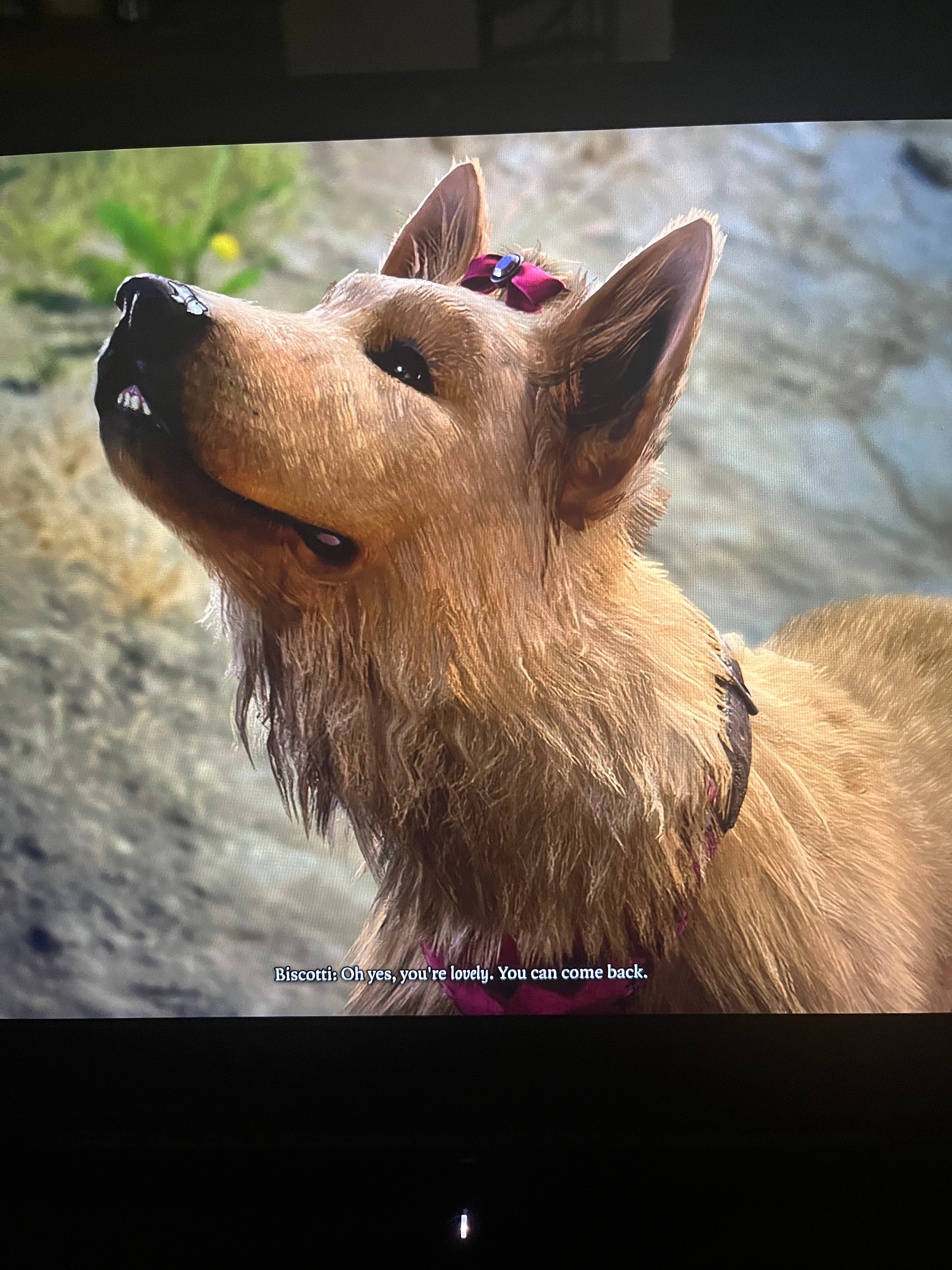 user avatar image for Krista