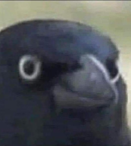 user avatar image for Chibnotte