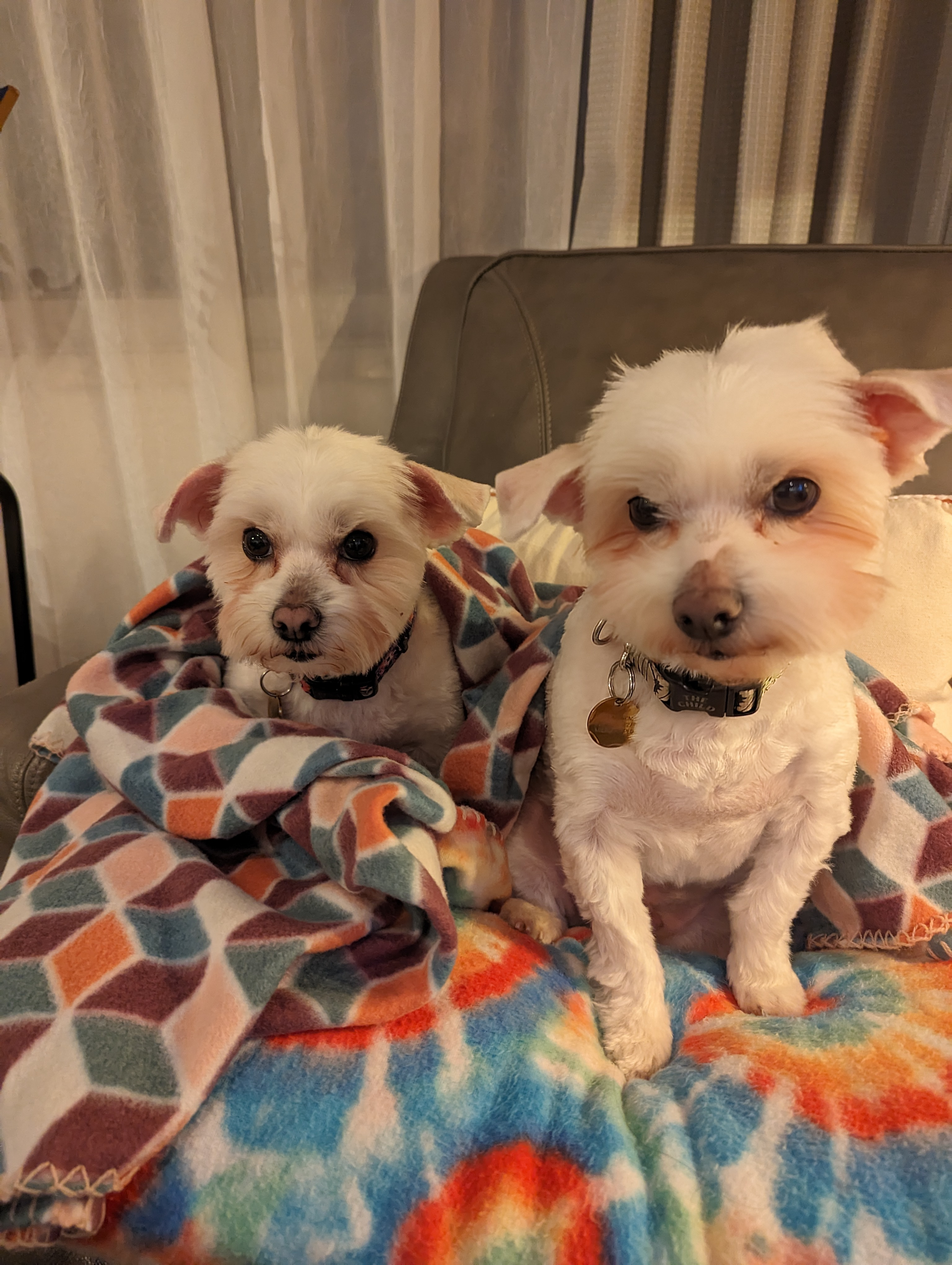 user avatar image for Lena Carino