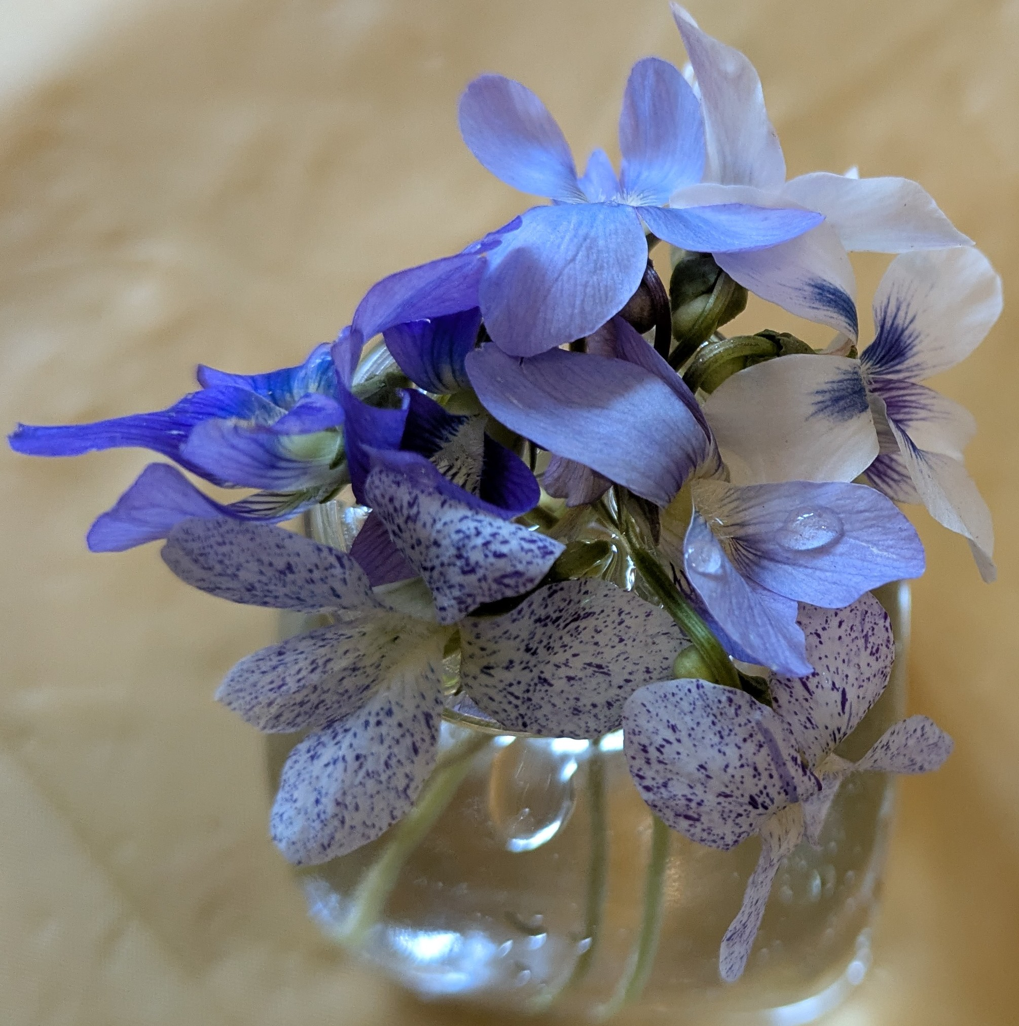 user avatar image for Bex