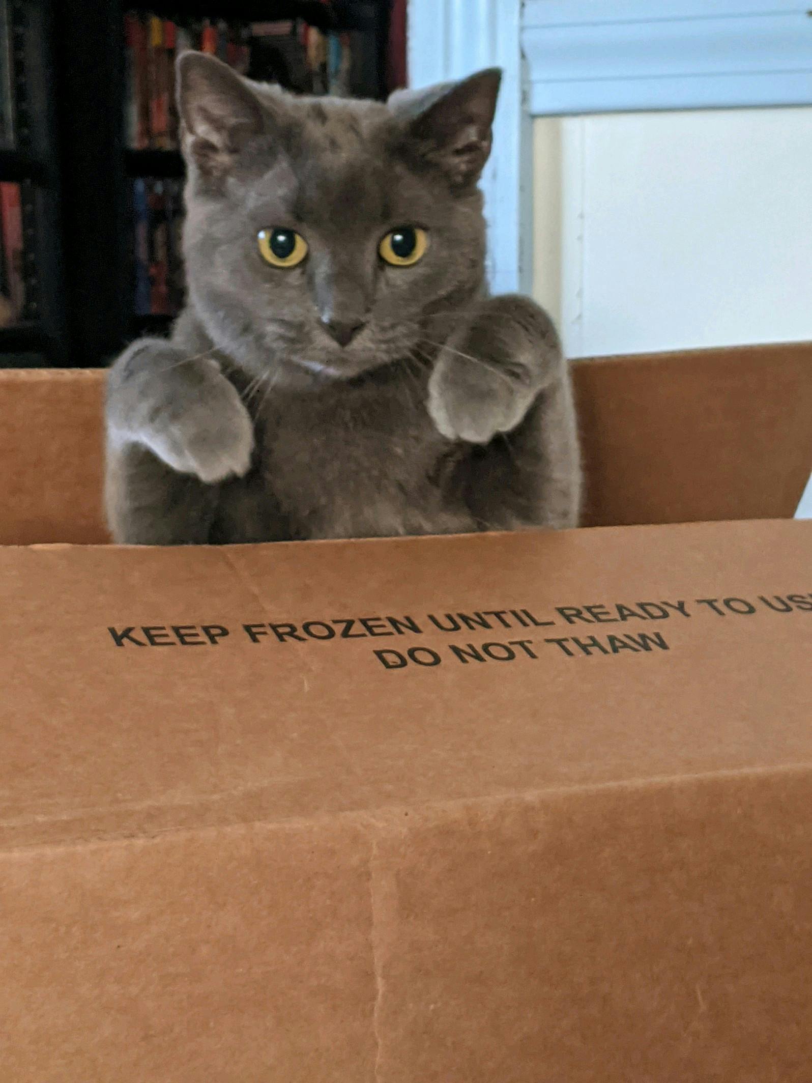 user avatar image for Ilka 