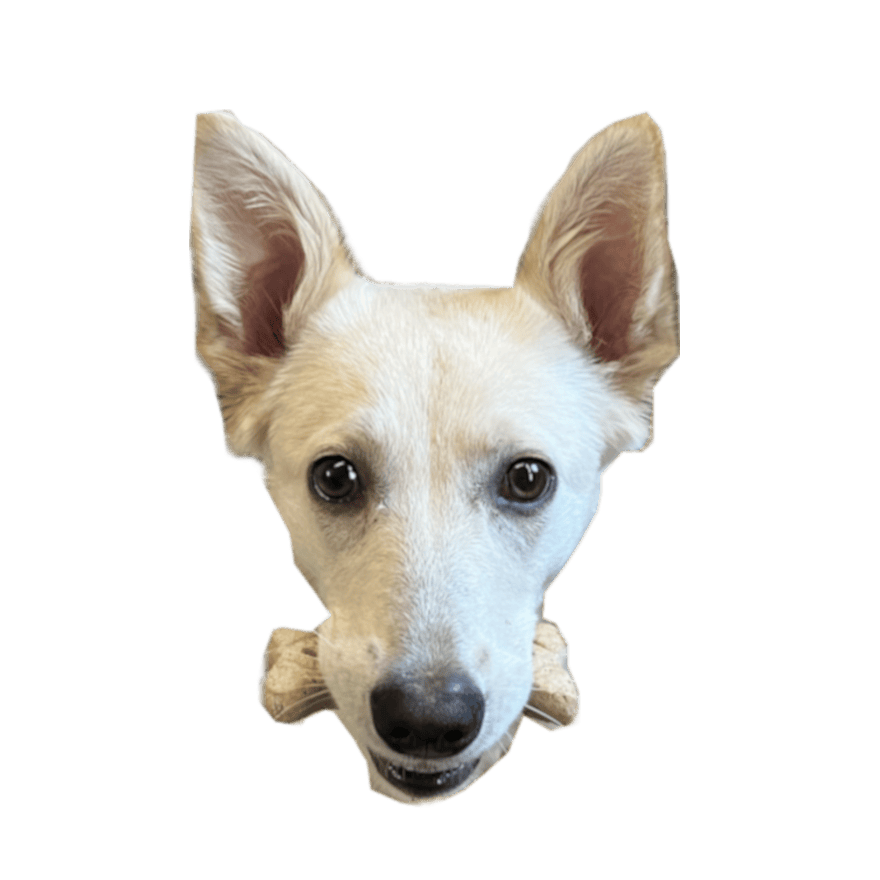 user avatar image for Kevin