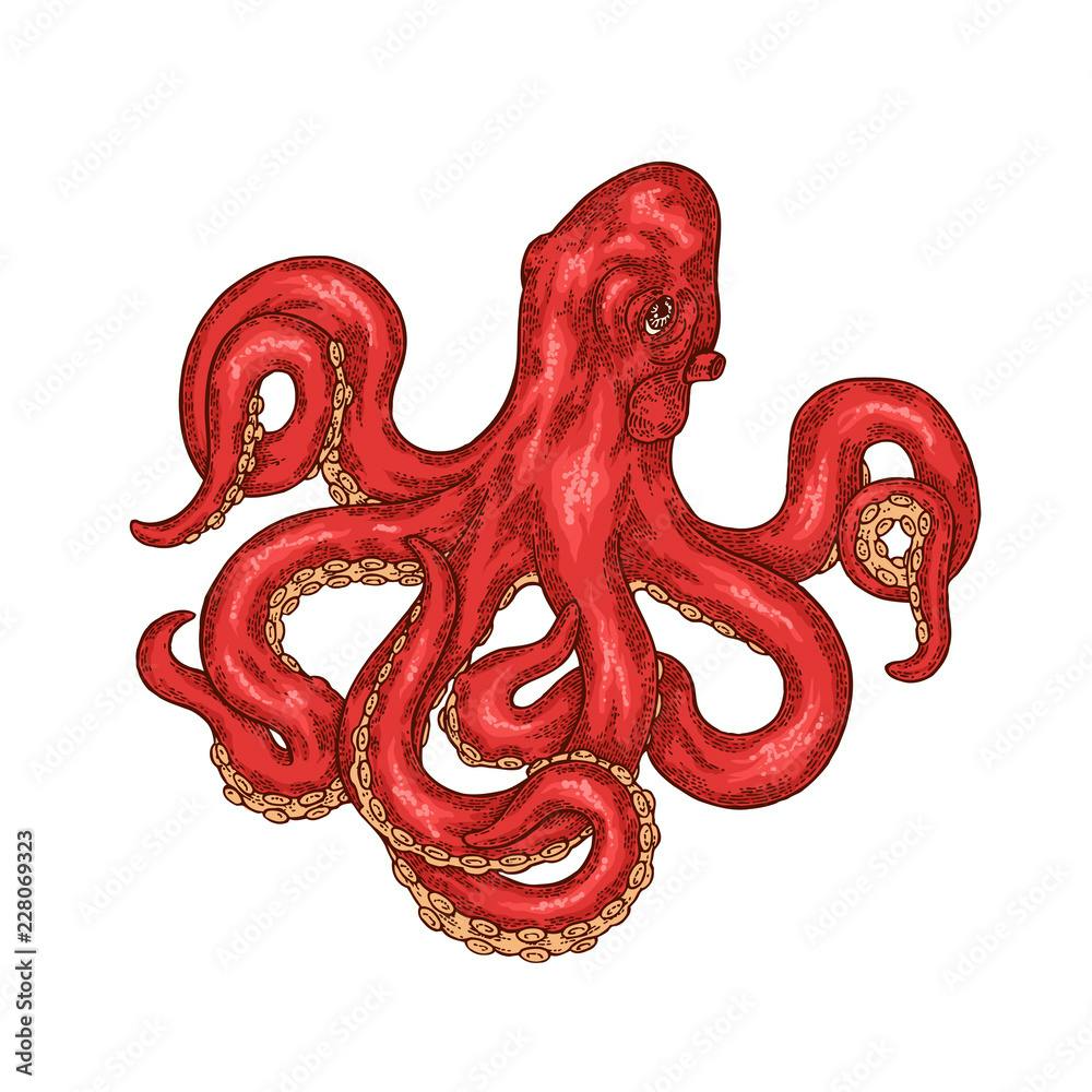 user avatar image for Shelly