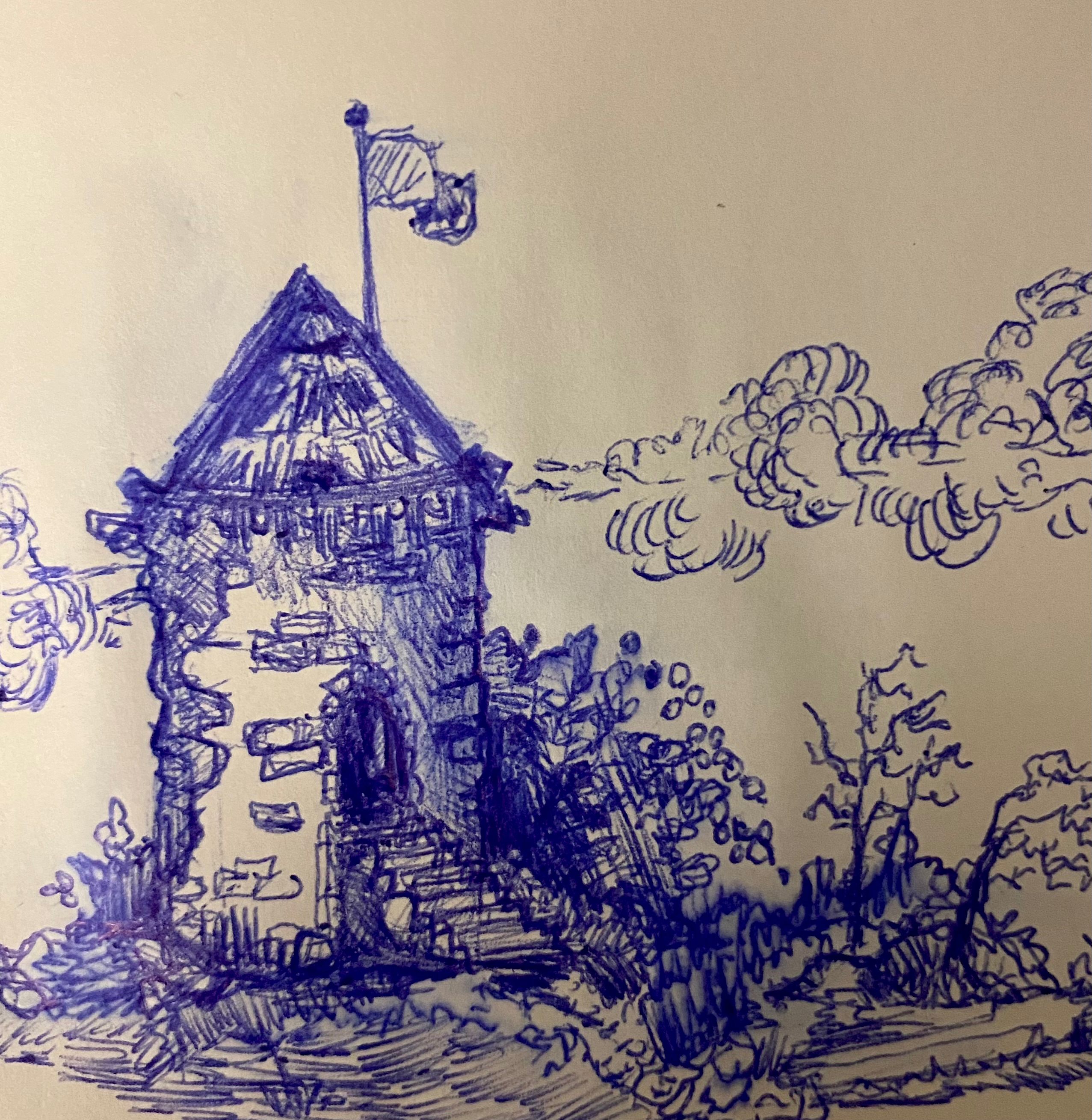 user avatar image for Mark Van Vlack