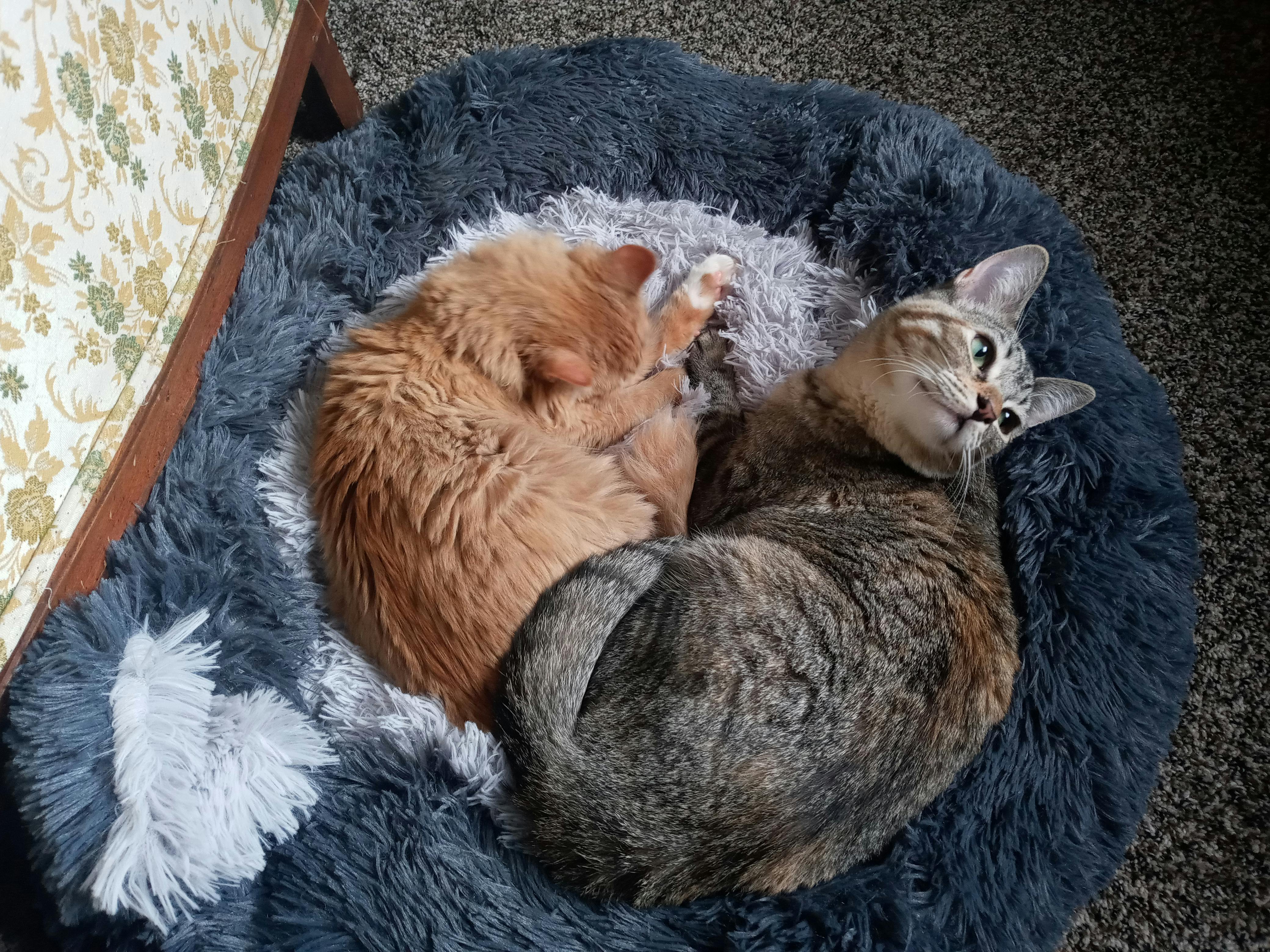 user avatar image for QuestFriend