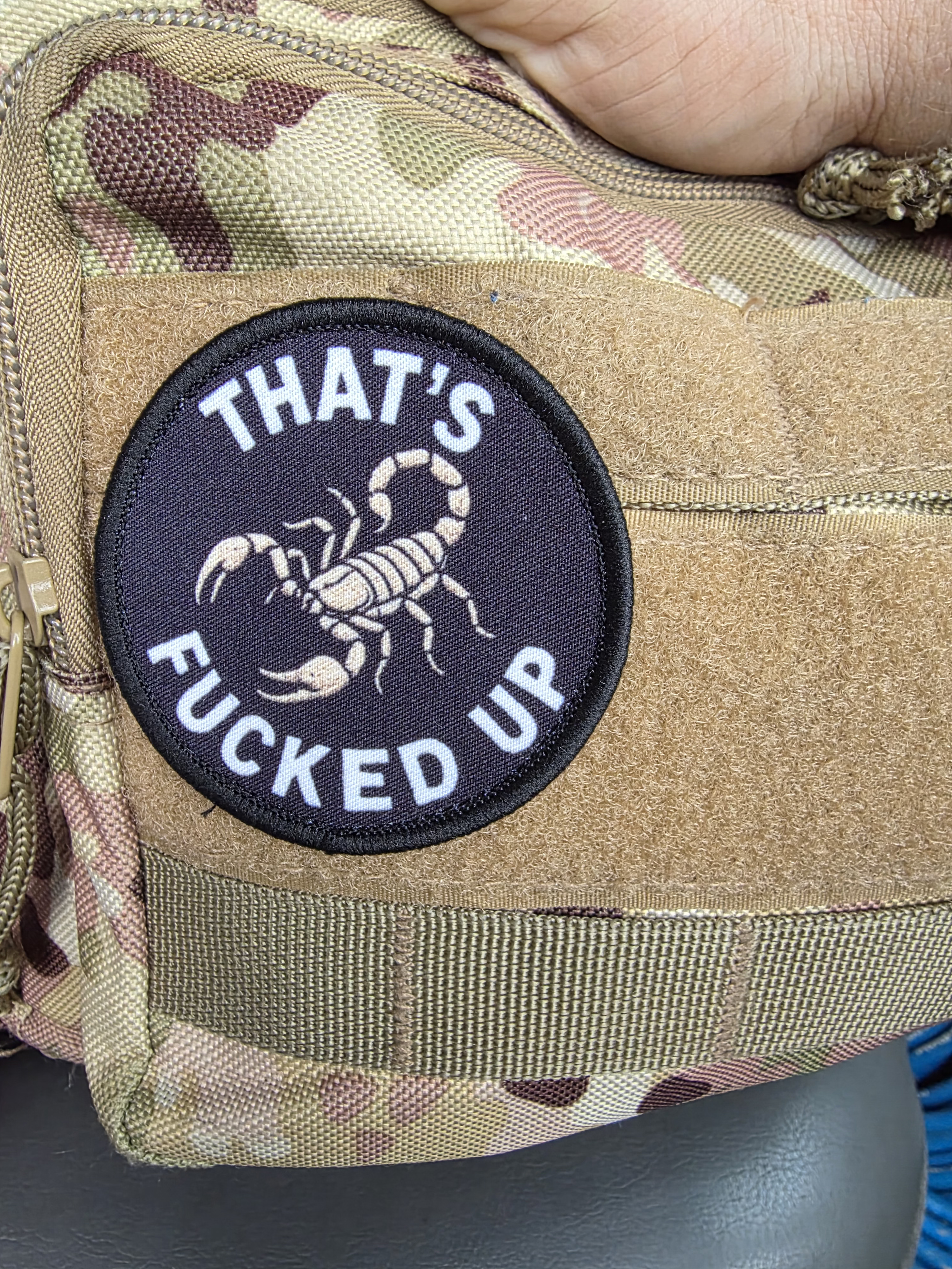 user avatar image for eli