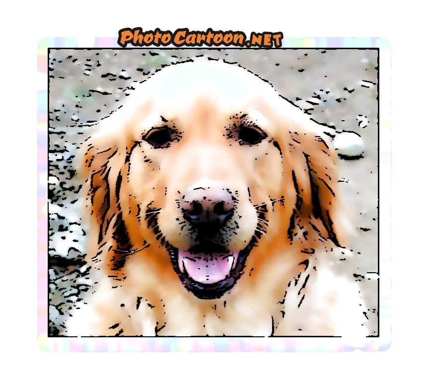 user avatar image for MP