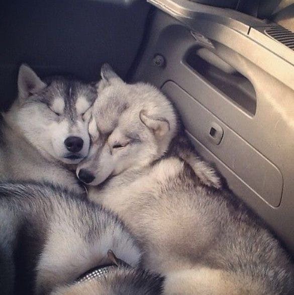 user avatar image for maddie