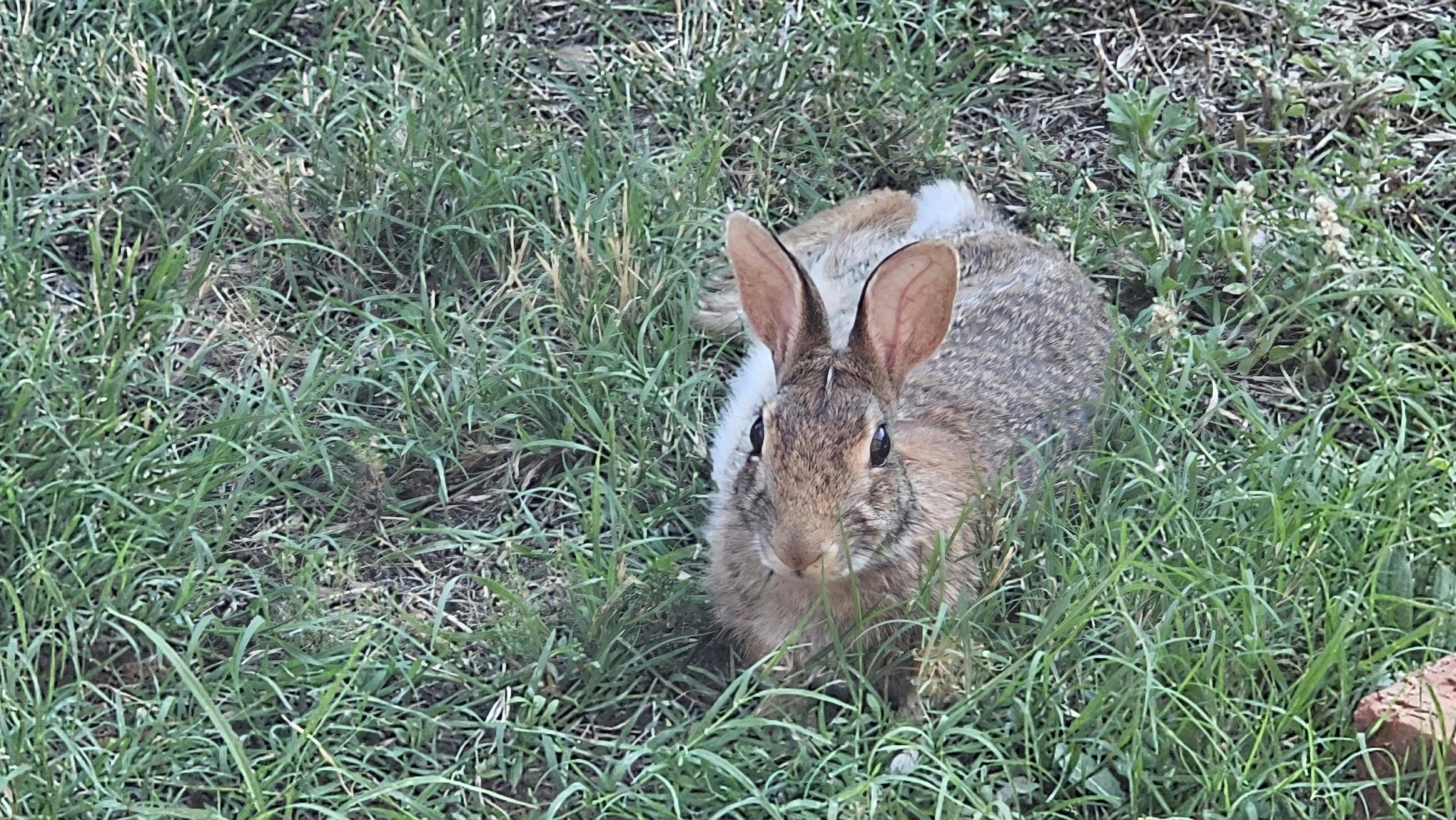 user avatar image for Amber