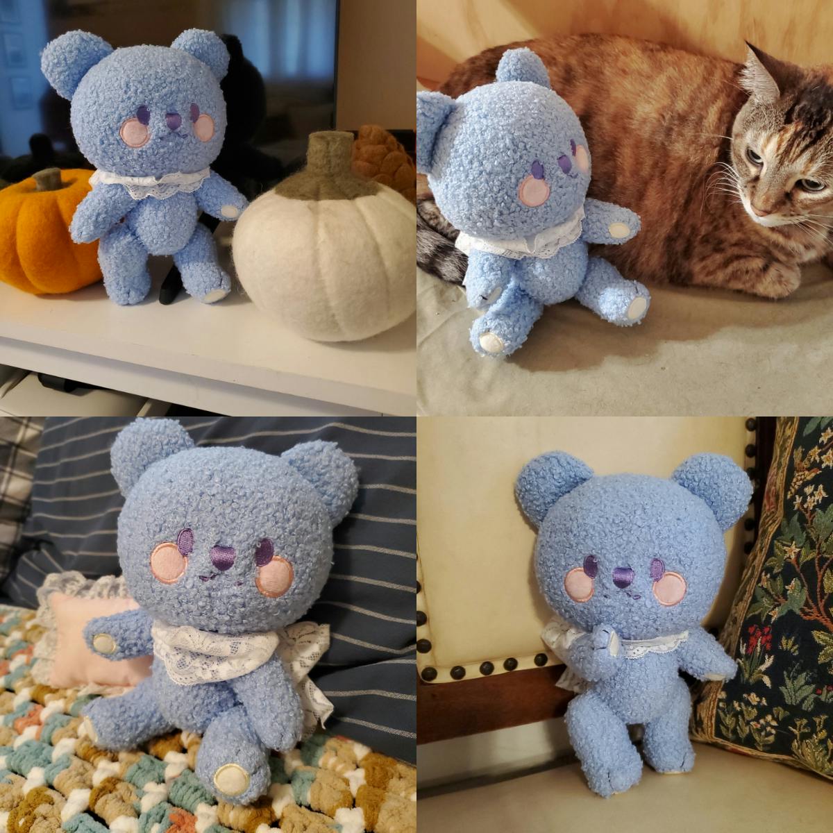 various photos of Doily in different lighting and poses