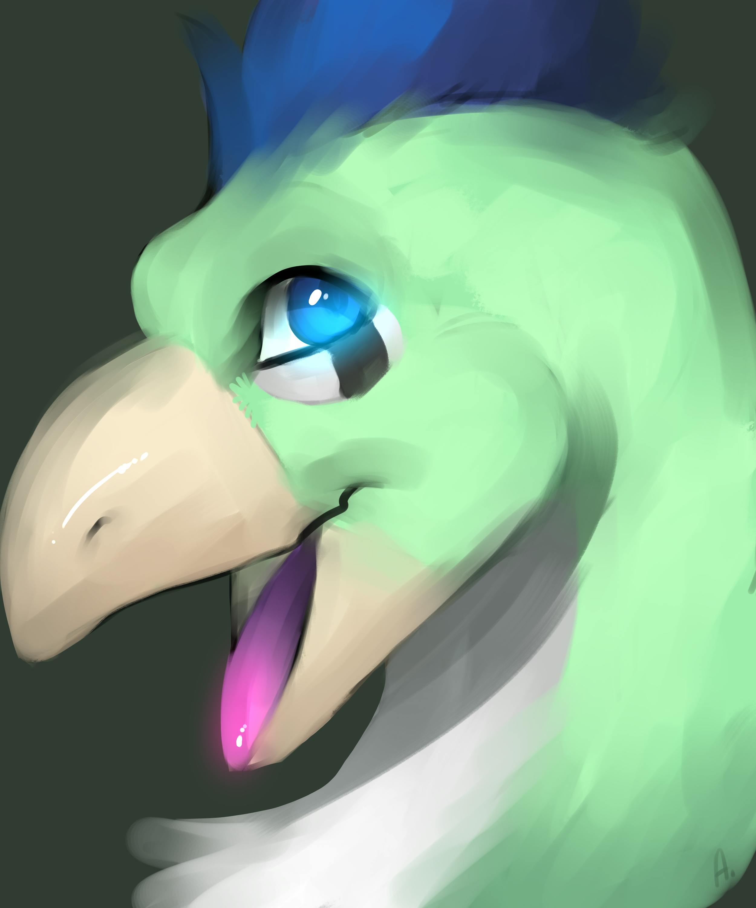 user avatar image for SioBirb