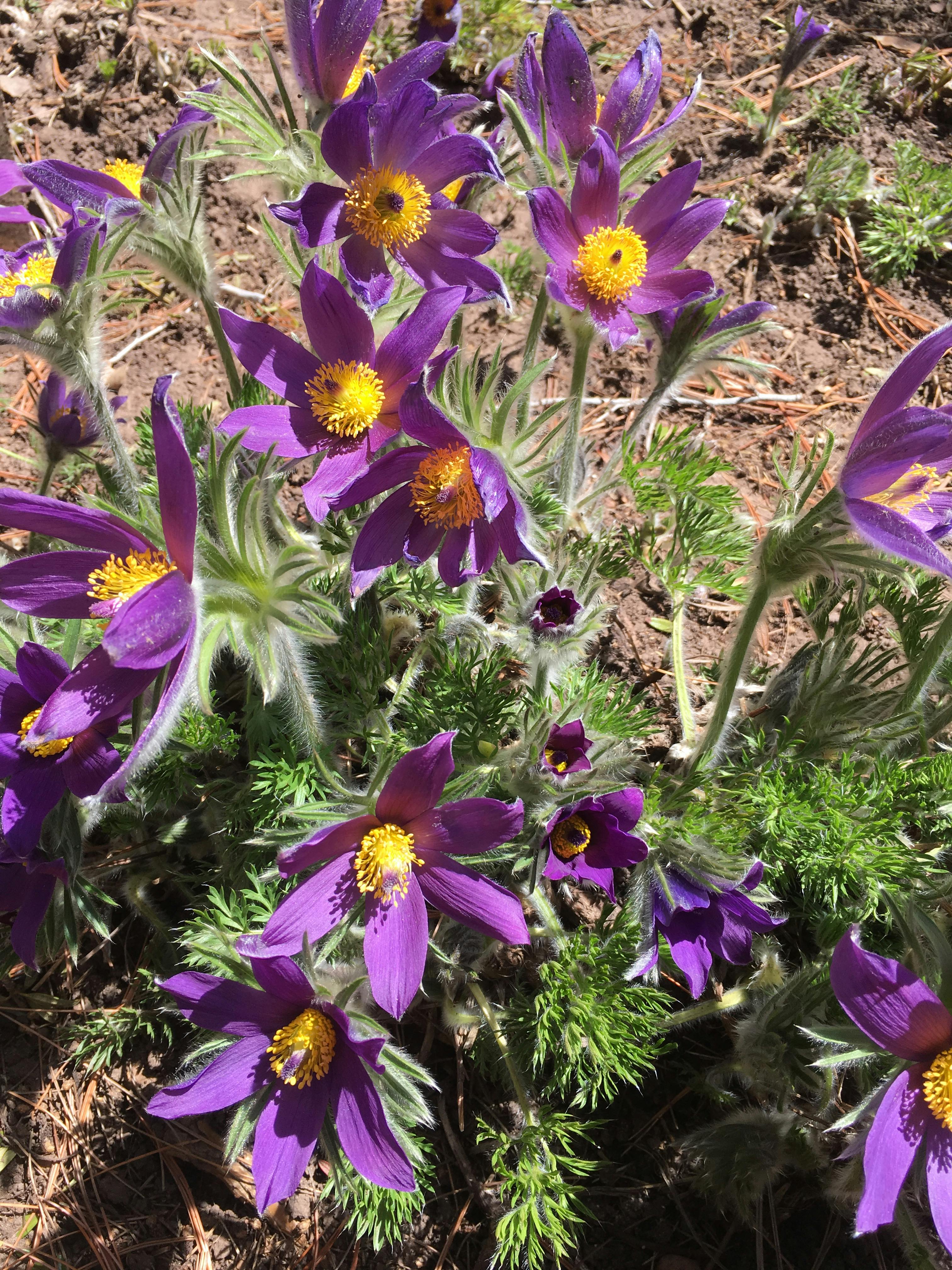 user avatar image for Kate Cance