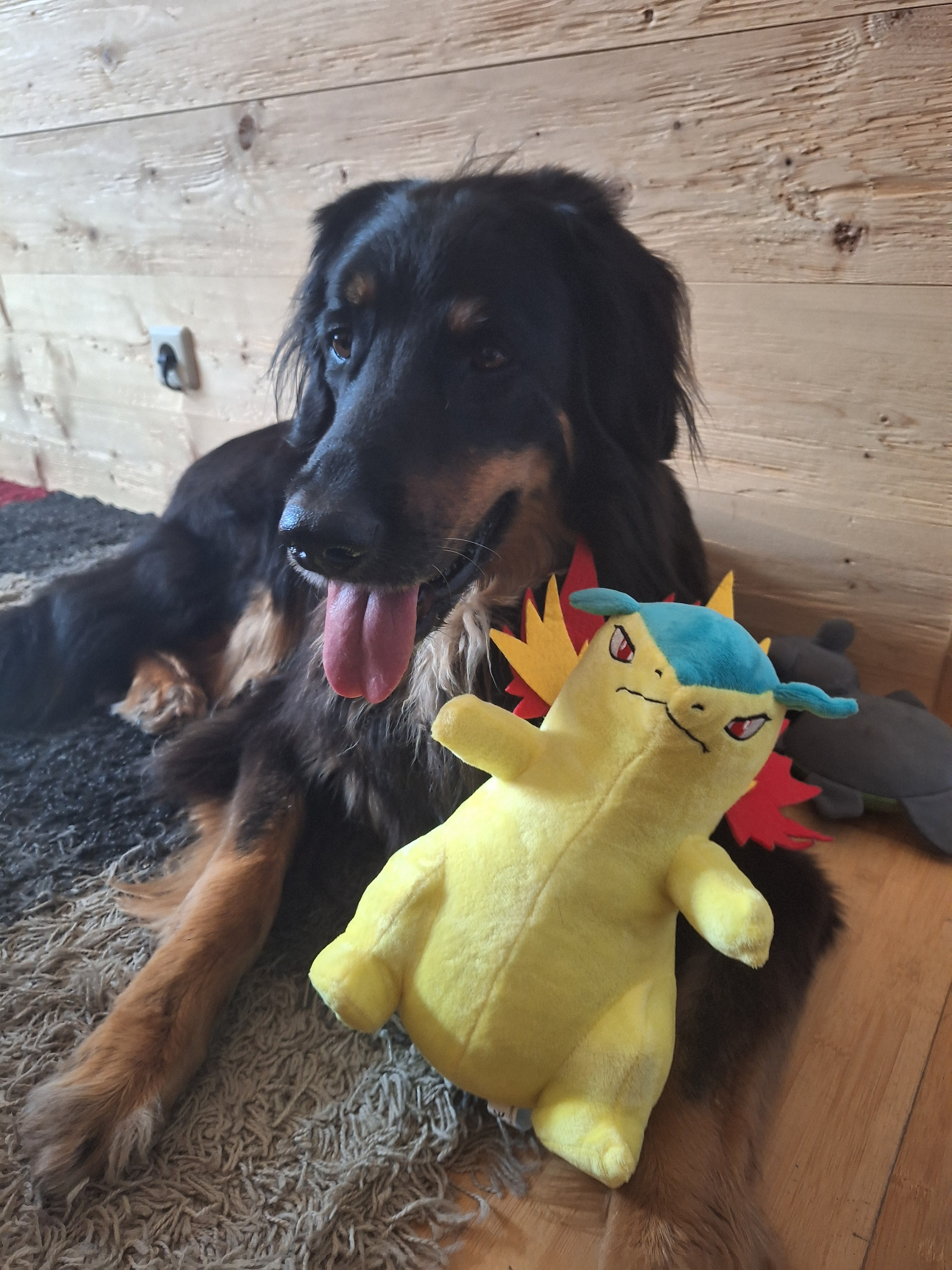 user avatar image for Zacreus