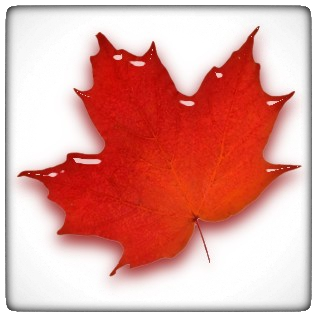 user avatar image for André Lalonde