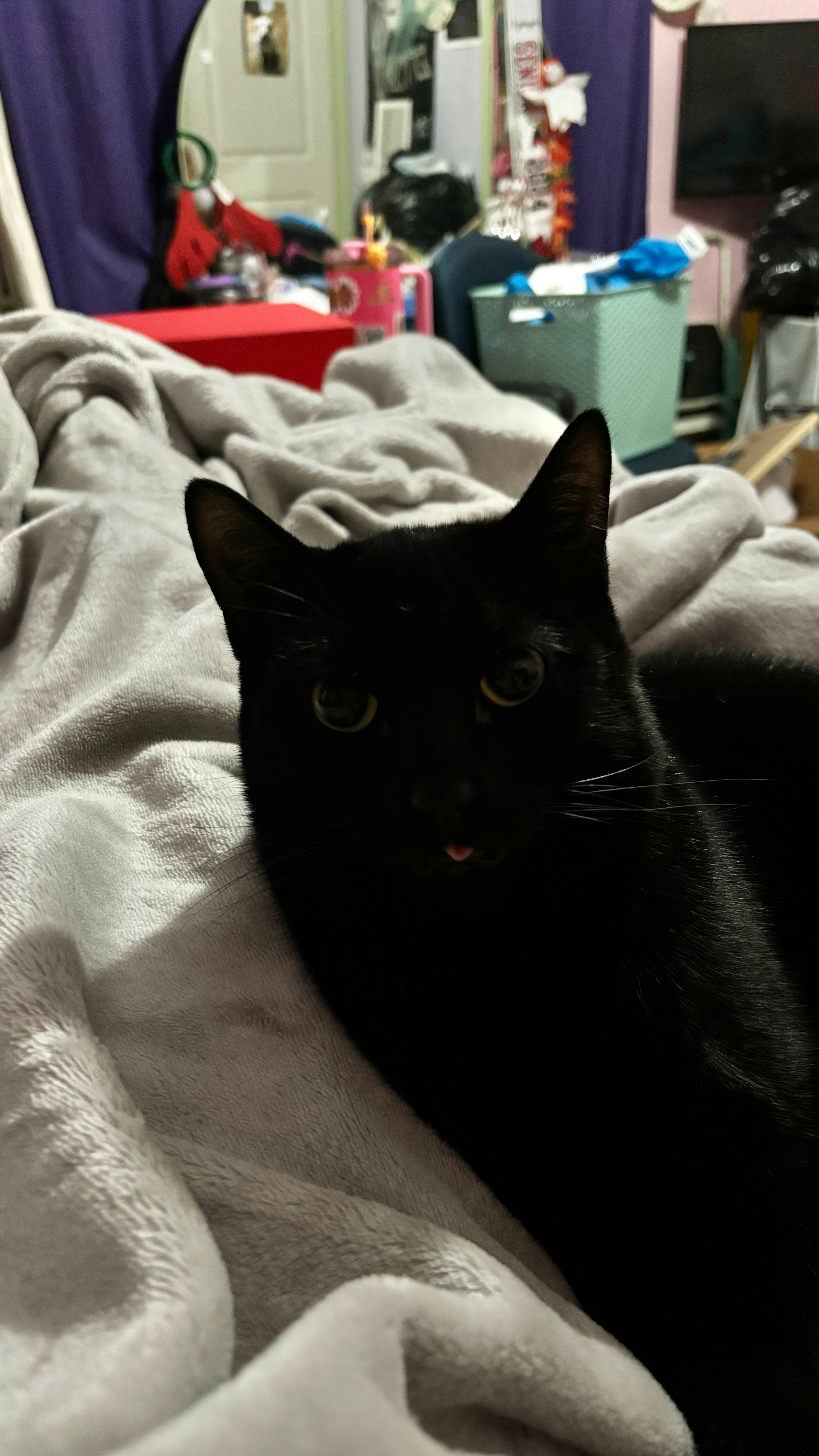 user avatar image for RedXIII