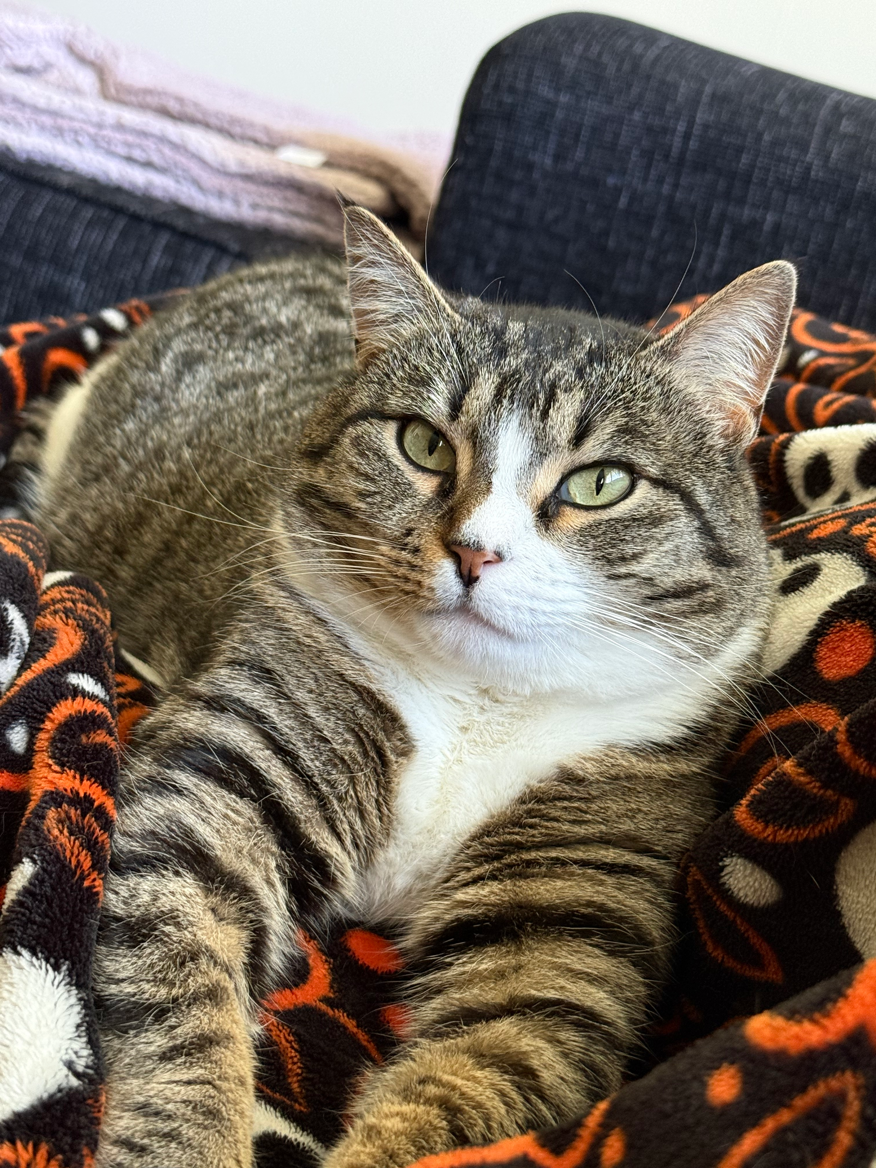 user avatar image for Sean Cooke