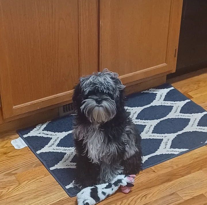 user avatar image for Rylan Duncan