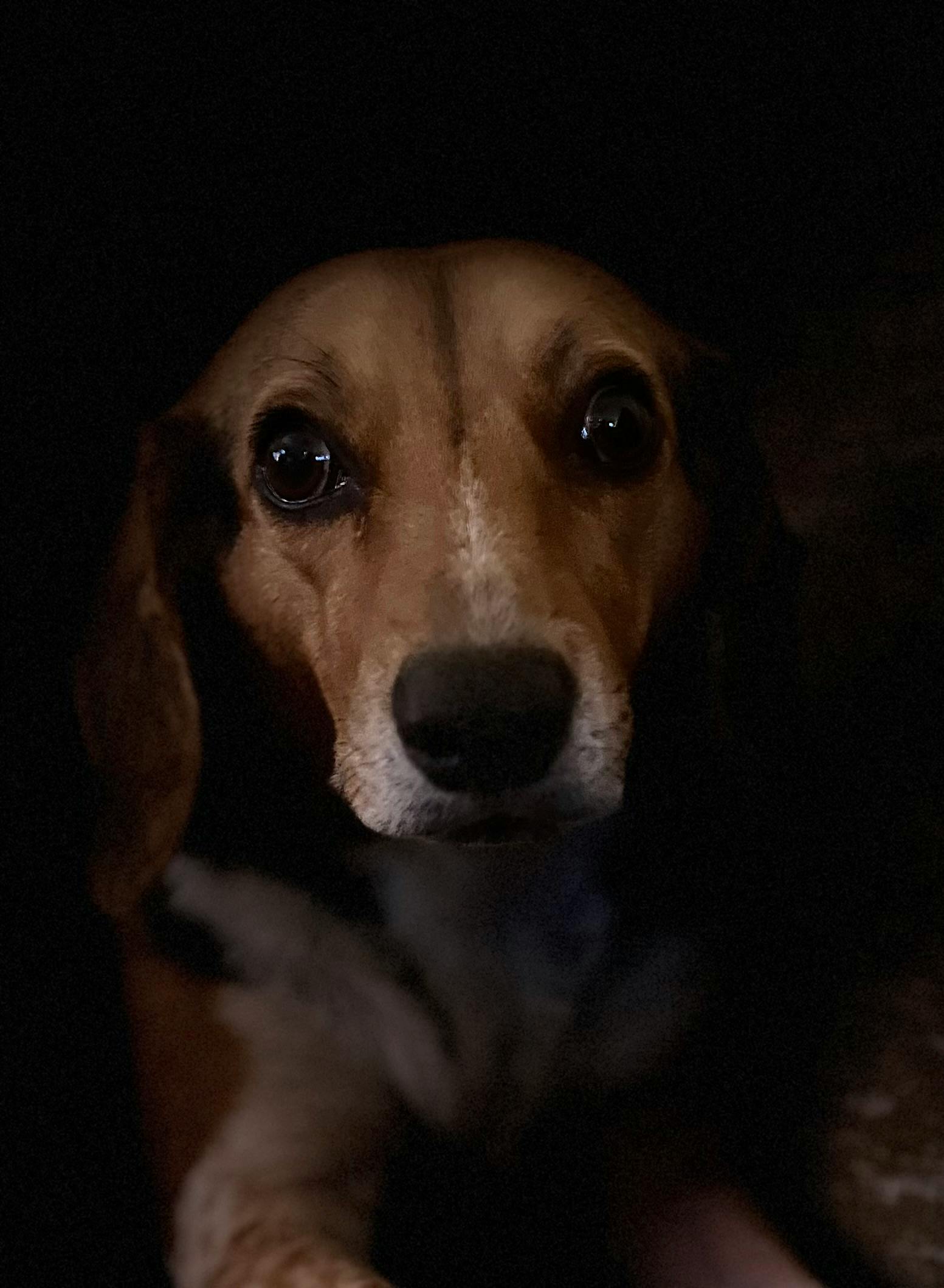 user avatar image for Tara