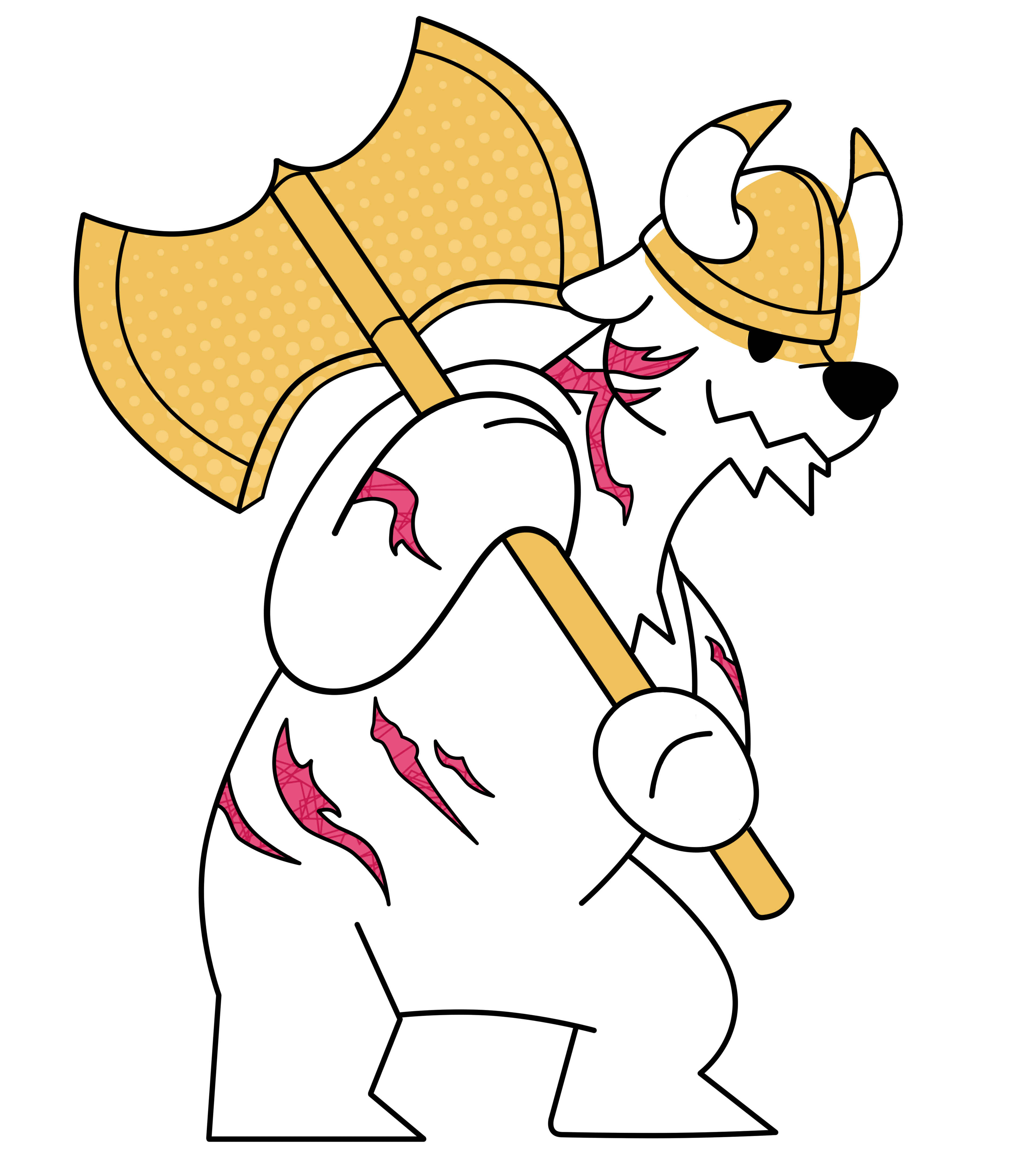 PHYSICAL RASPBERRY + ACCESSORIES