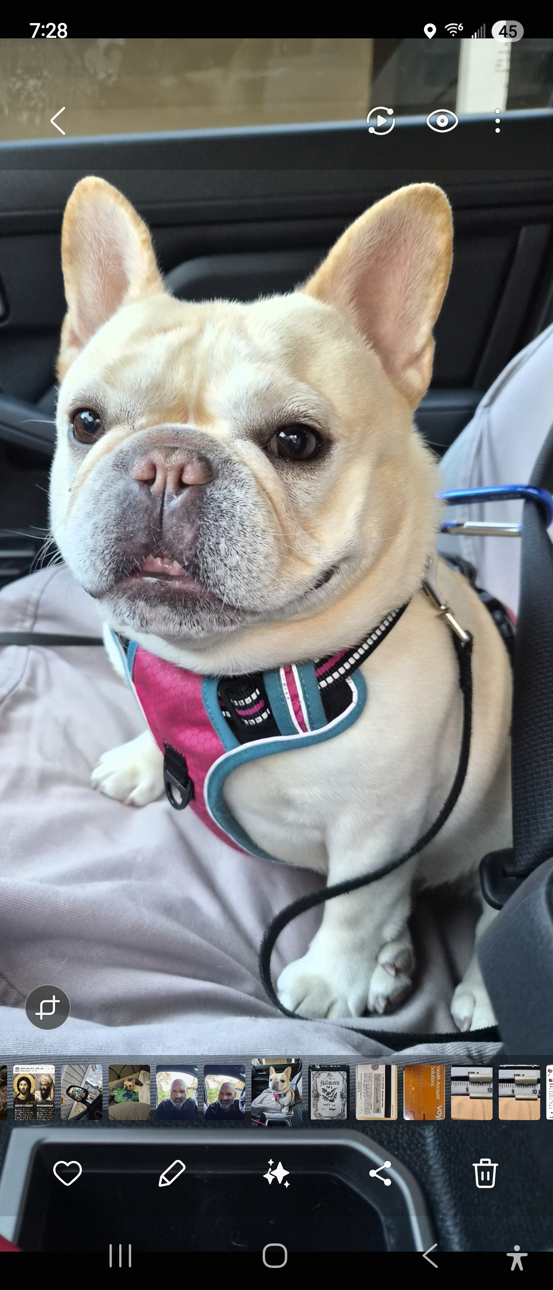 user avatar image for John E Cammarata