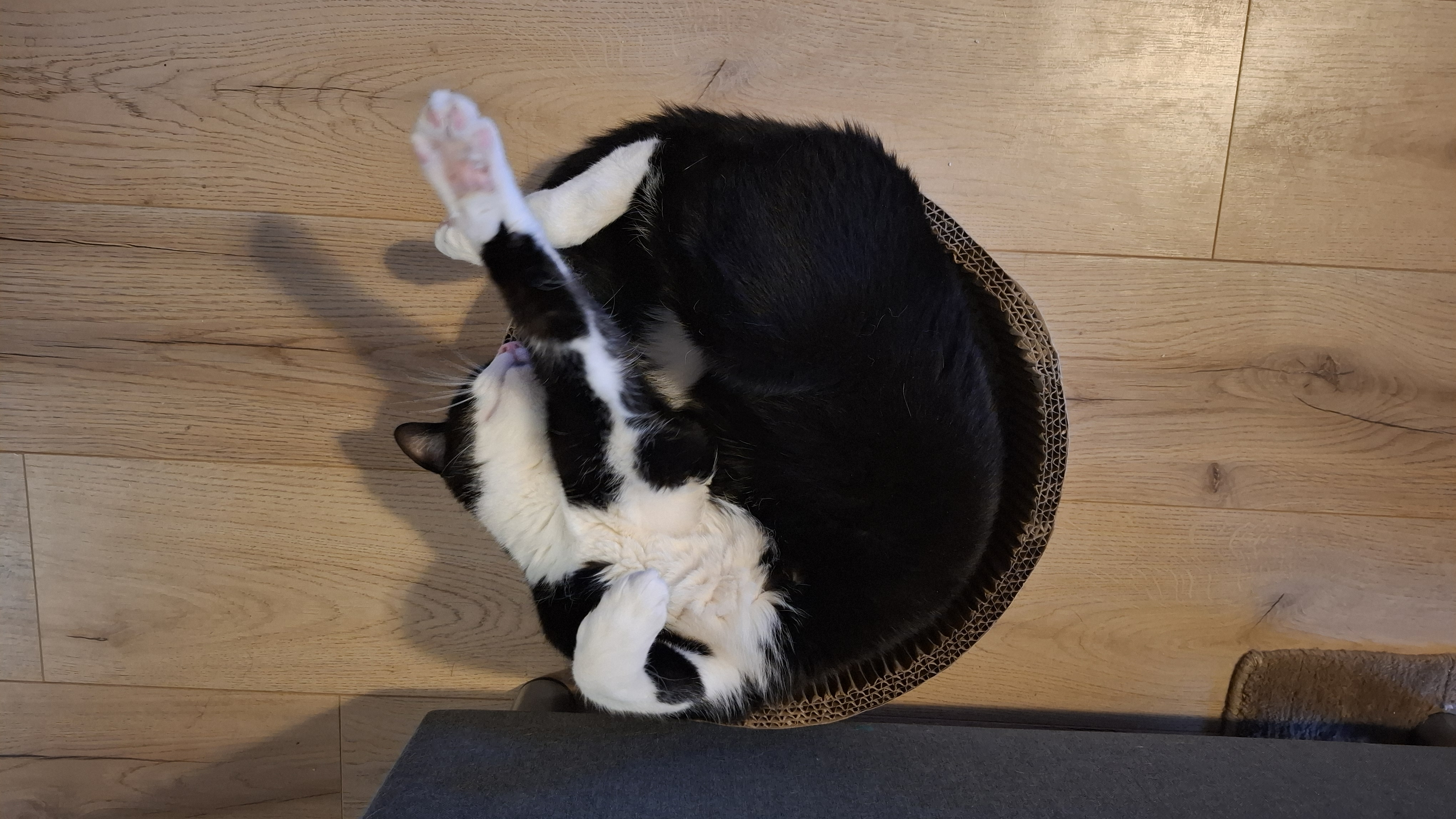 user avatar image for Rachel