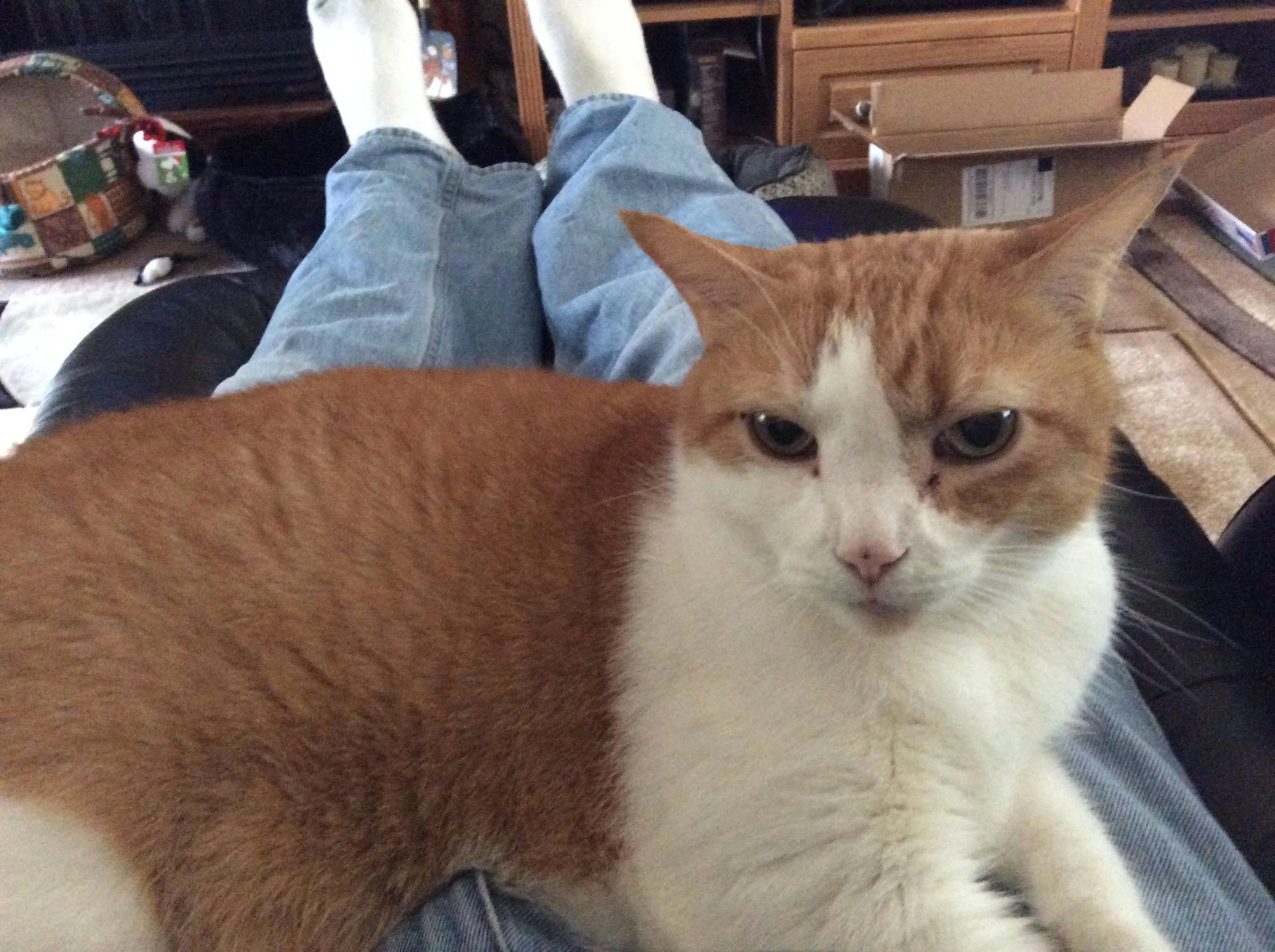 user avatar image for dana spratt