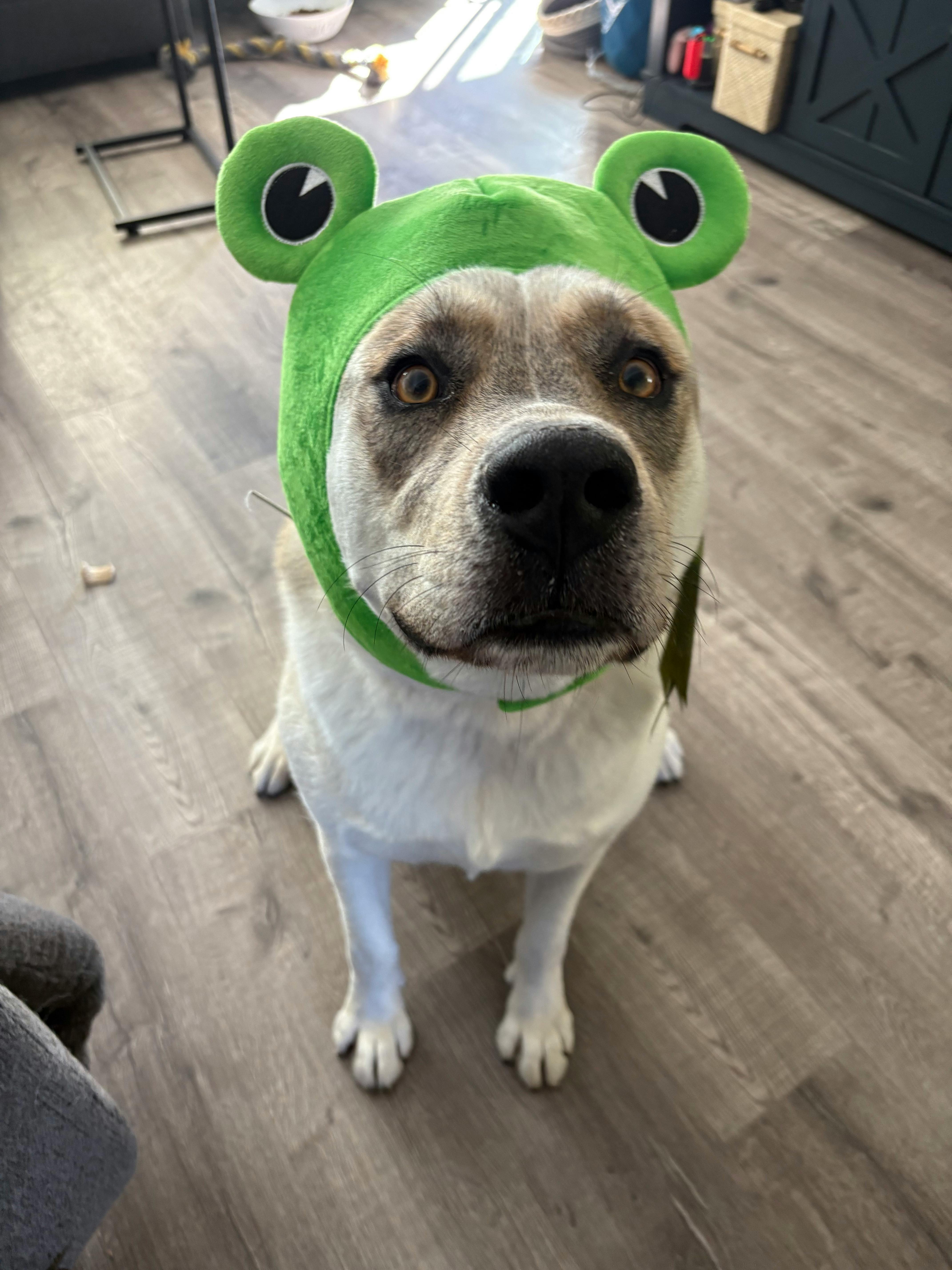 user avatar image for Ben McDermott