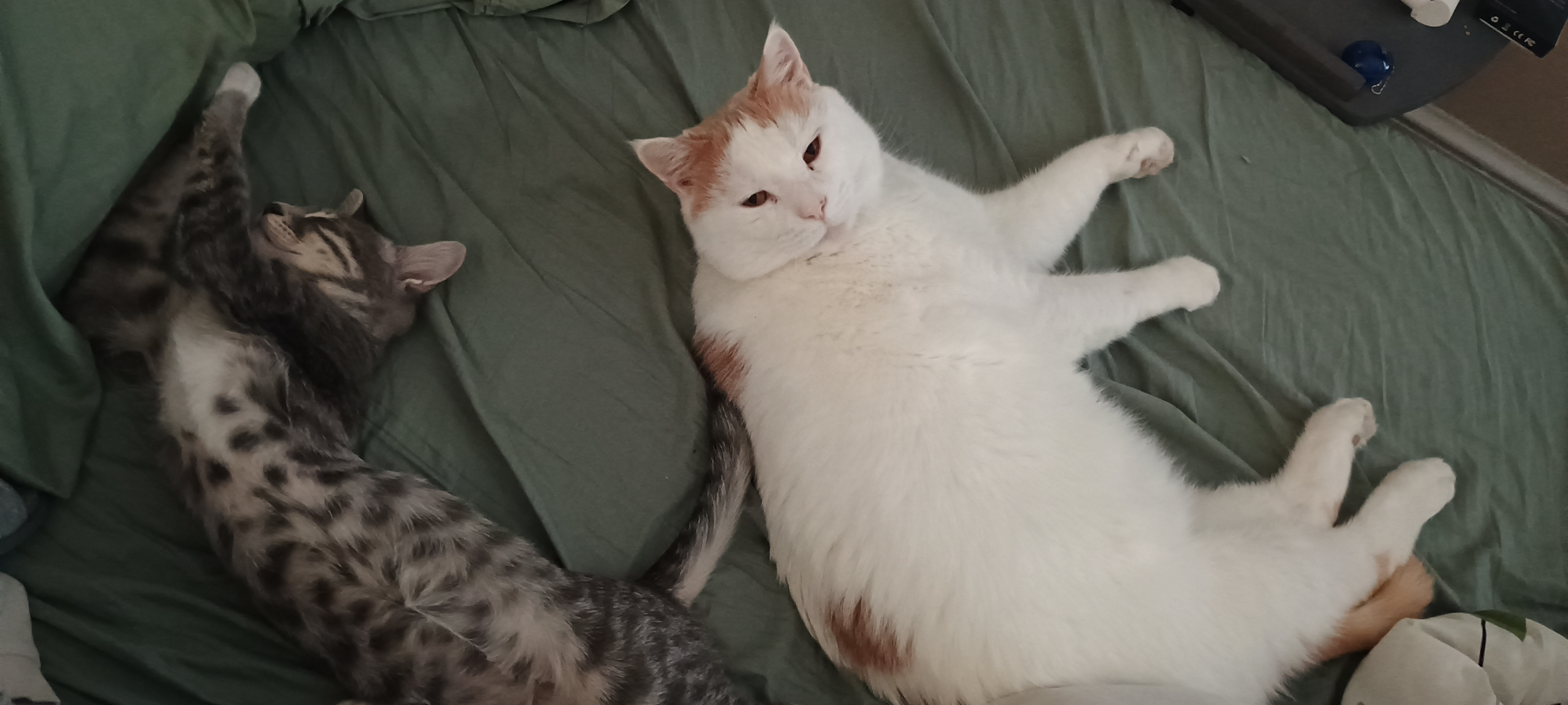 user avatar image for Alisha 