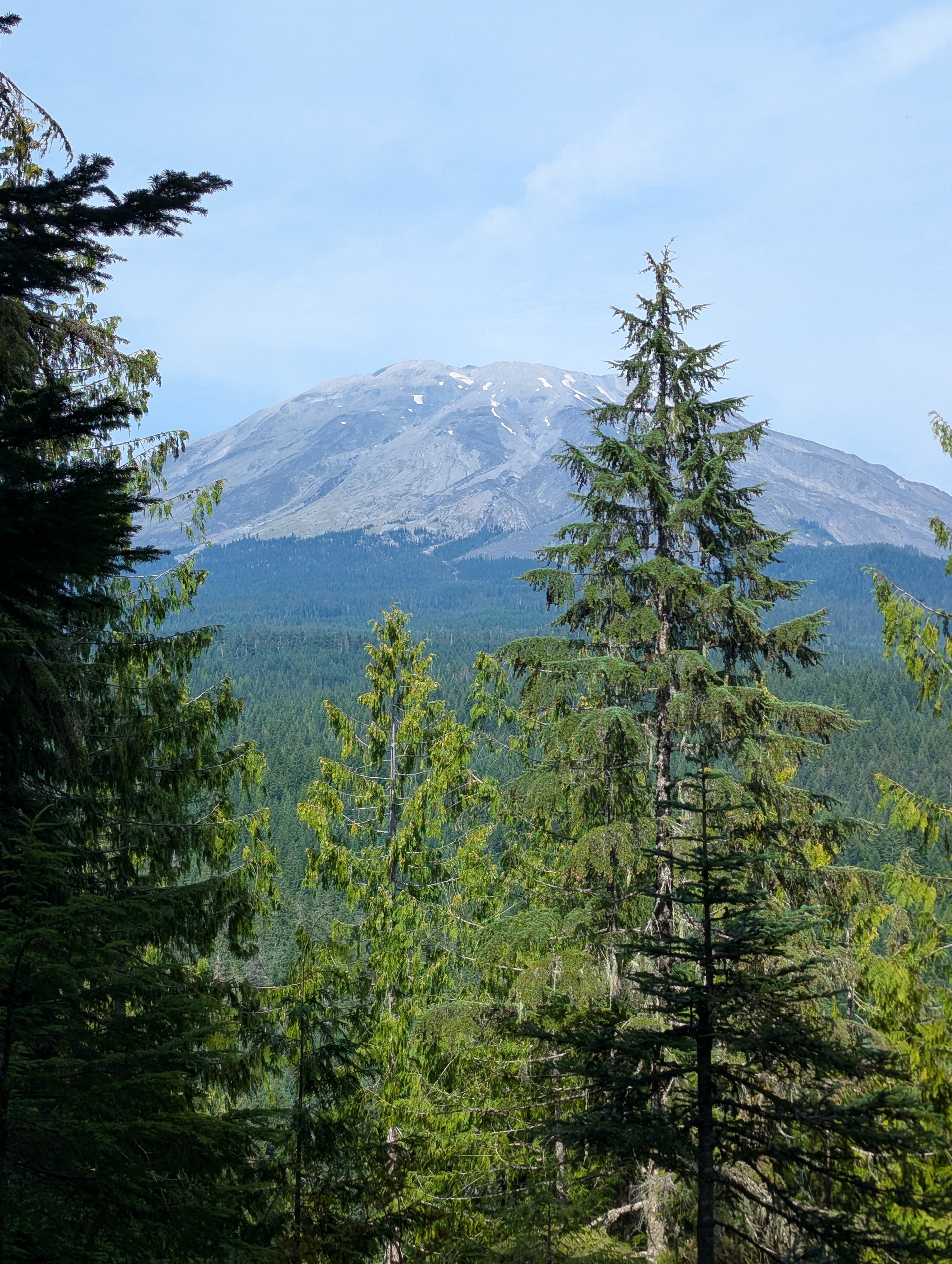 user avatar image for Marcus Z