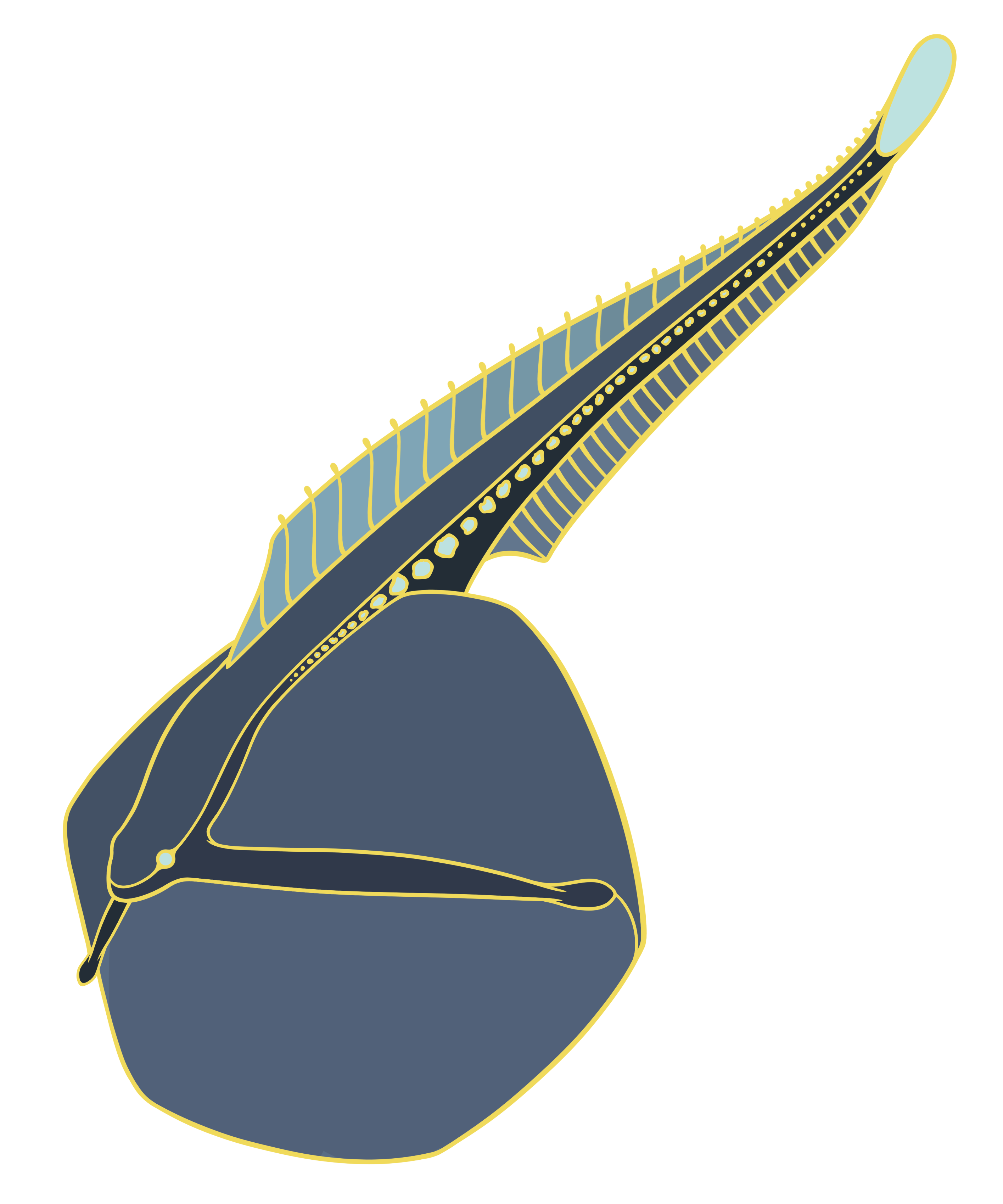 Gulper Eel Collaboration Mini Pin	