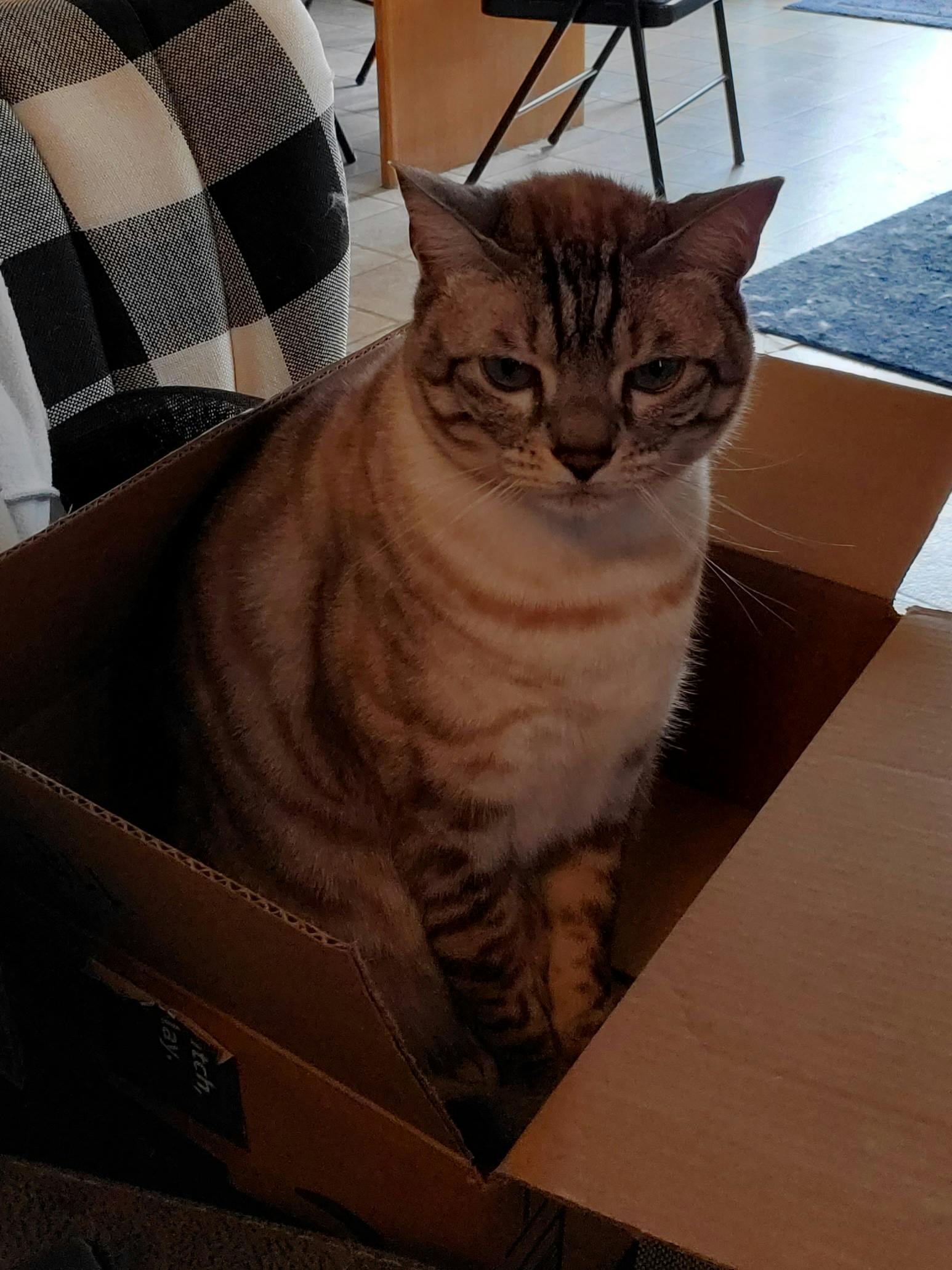 user avatar image for Emily