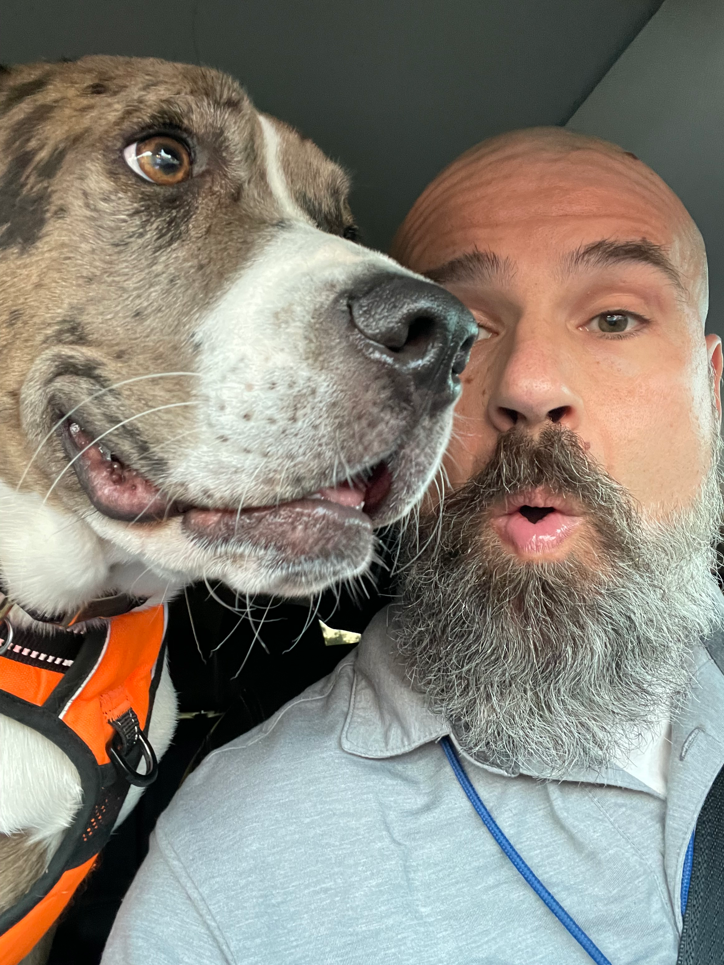 user avatar image for S_the_Riot